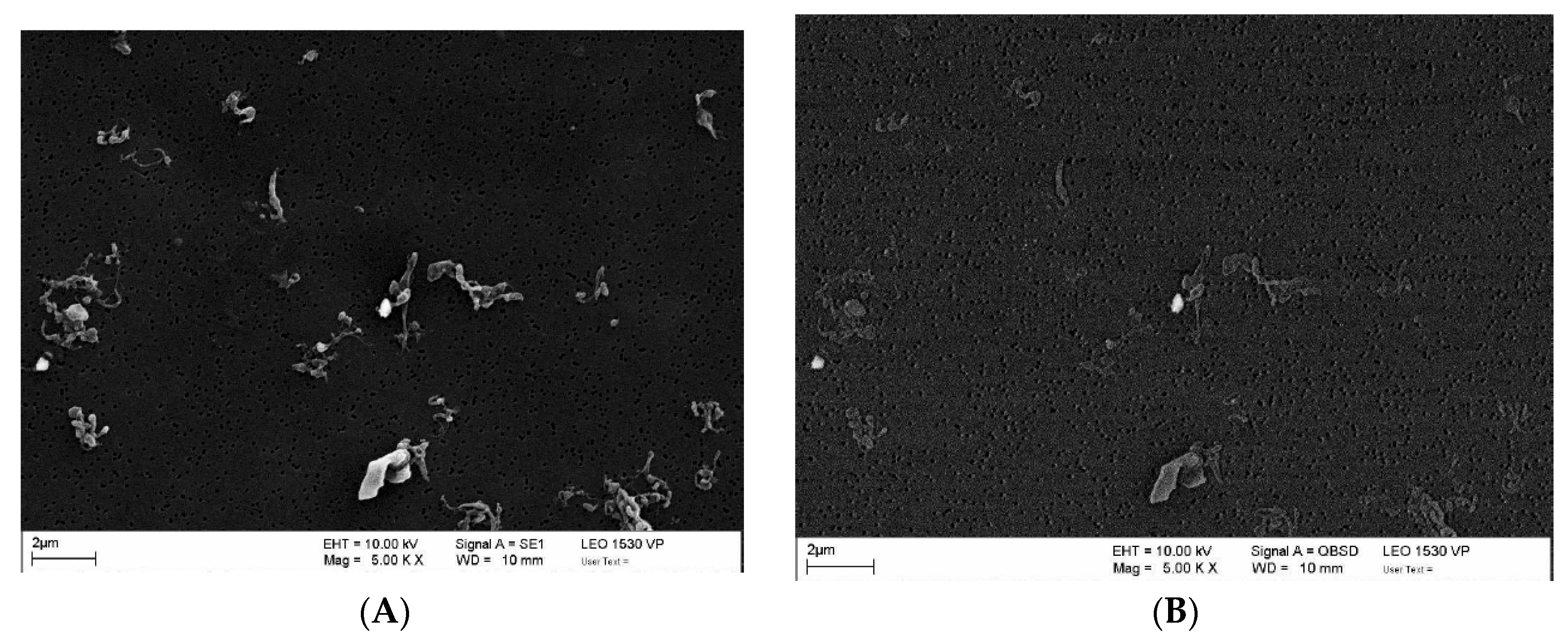 Polymers 12 02334 g010