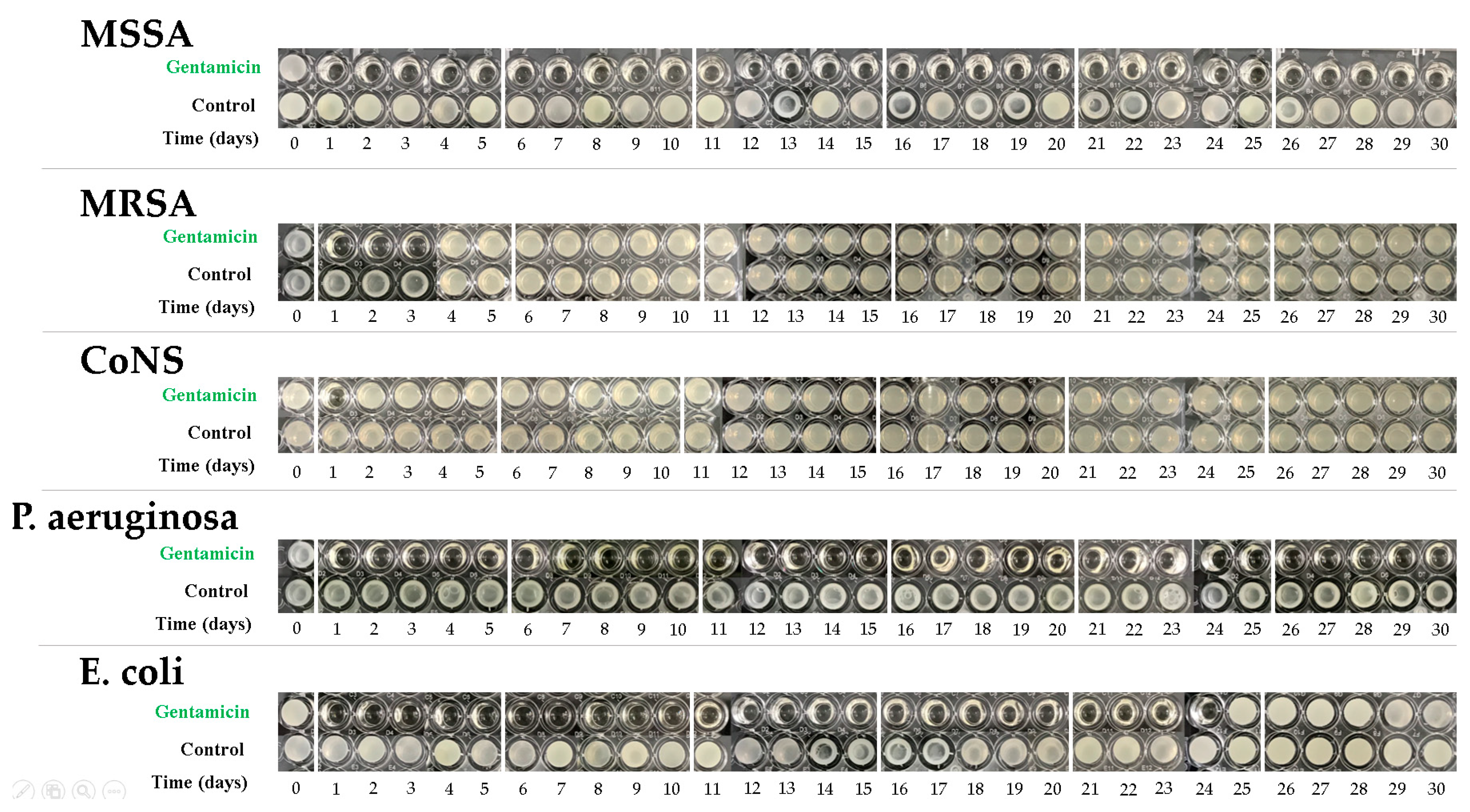 Polymers 12 02334 g012