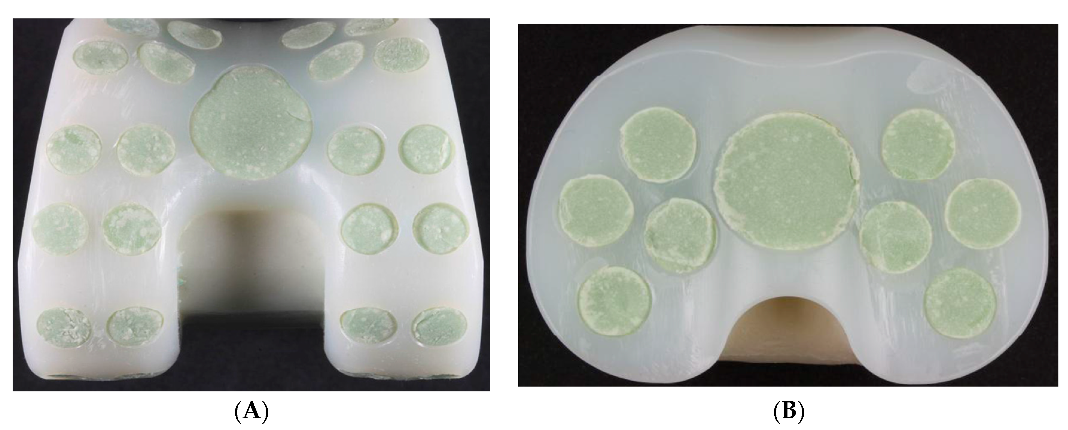 Polymers 12 02334 g013