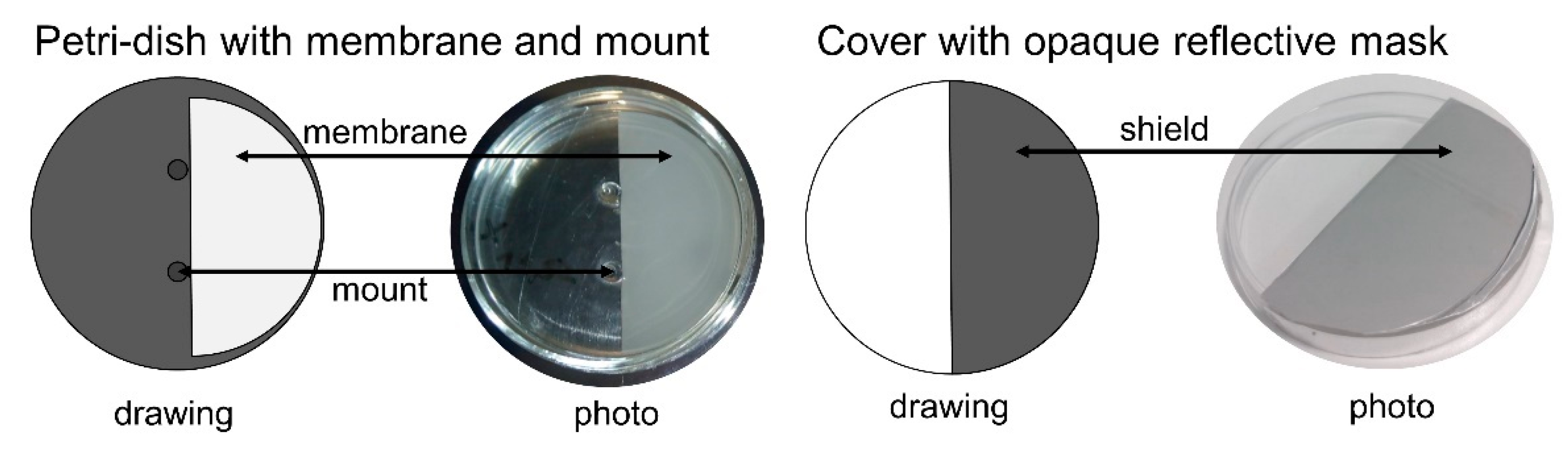 Polymers 12 02340 g001