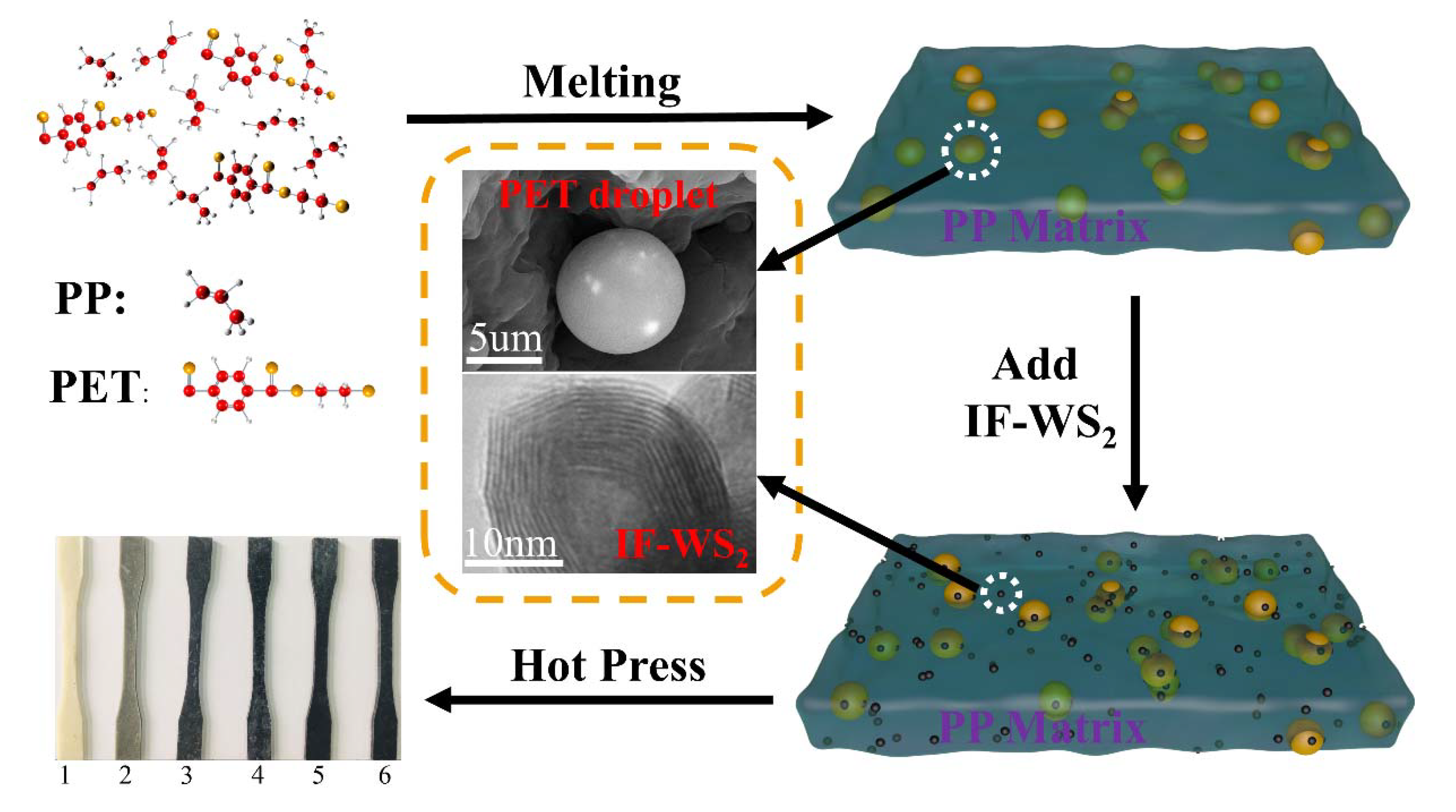 Polymers 12 02342 g001