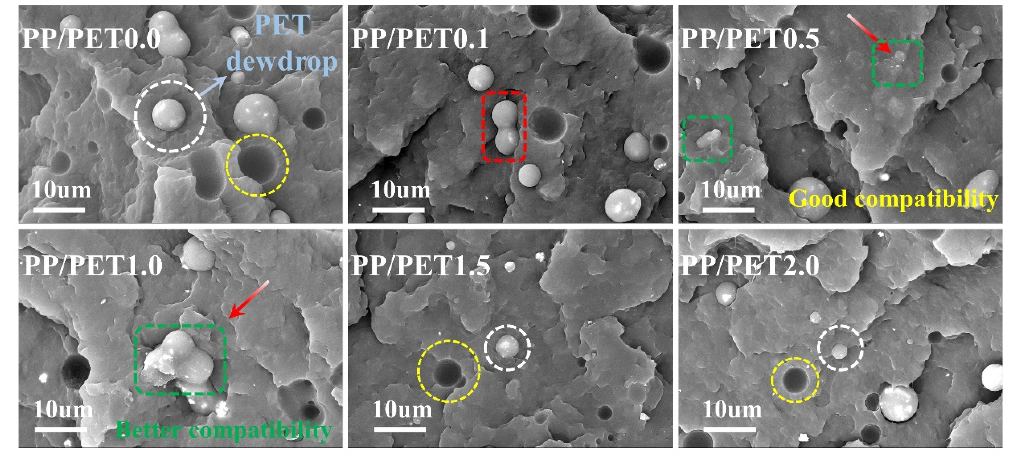 Polymers 12 02342 g003