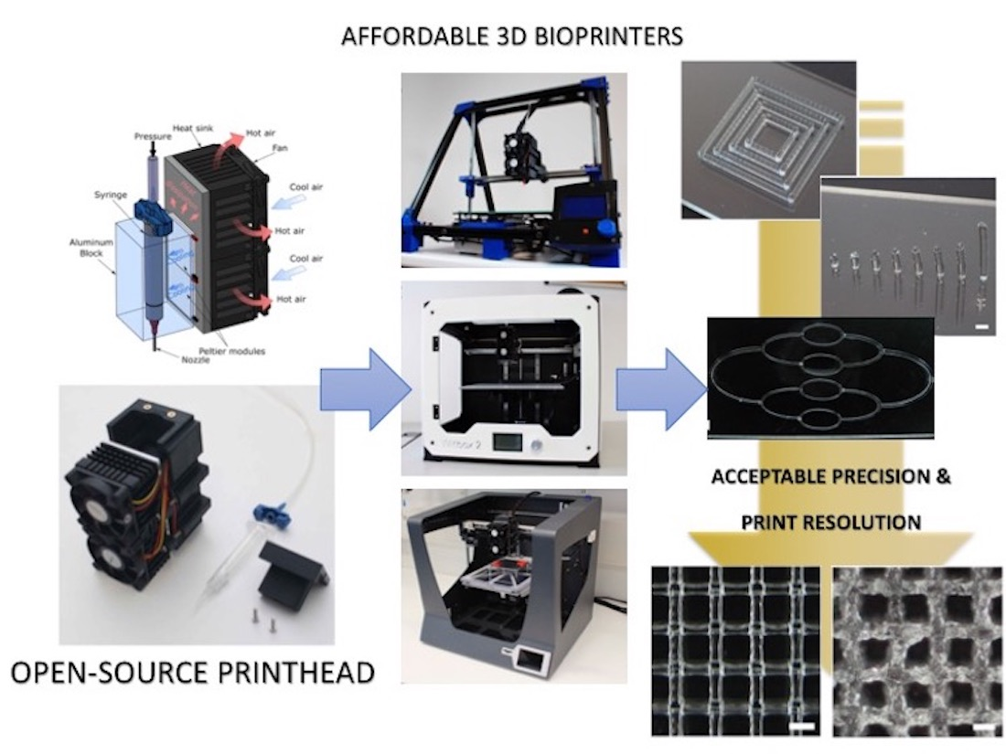 Polymers Free Full Text A Versatile Open Source Printhead For Low Cost 3d Microextrusion Based Bioprinting Html Polymers Free Full Text A Versatile Open Source Printhead For Low Cost 3d Microextrusion Based Bioprinting Html