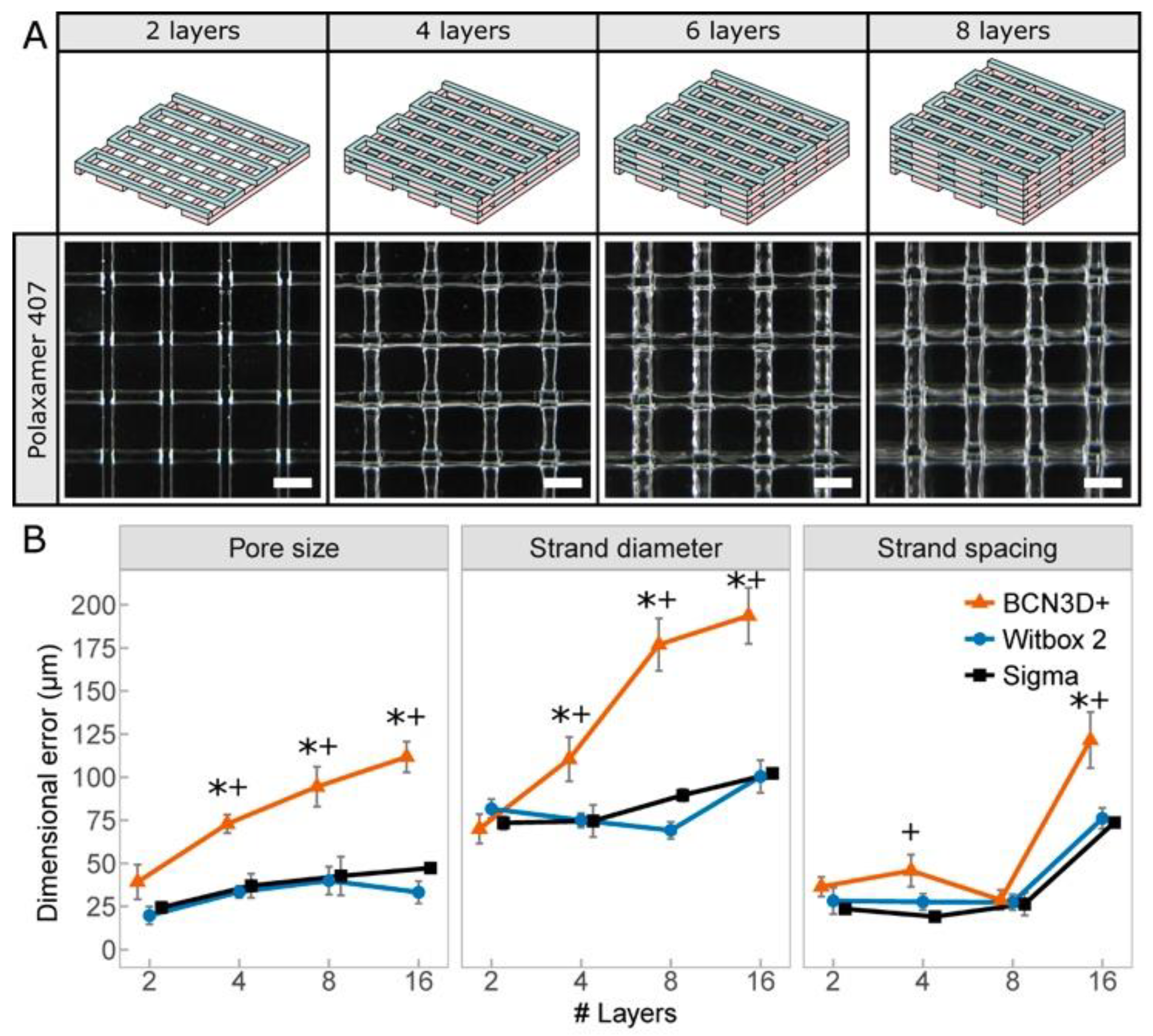 Polymers 12 02346 g005