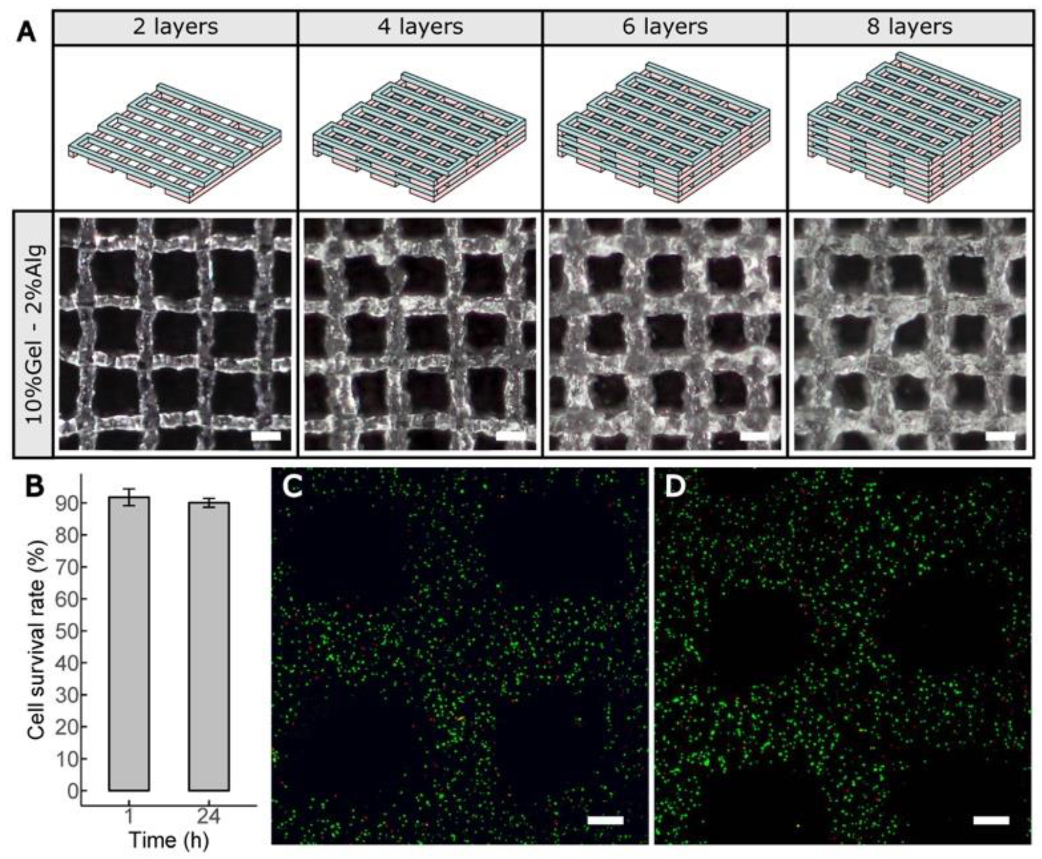 Polymers 12 02346 g006