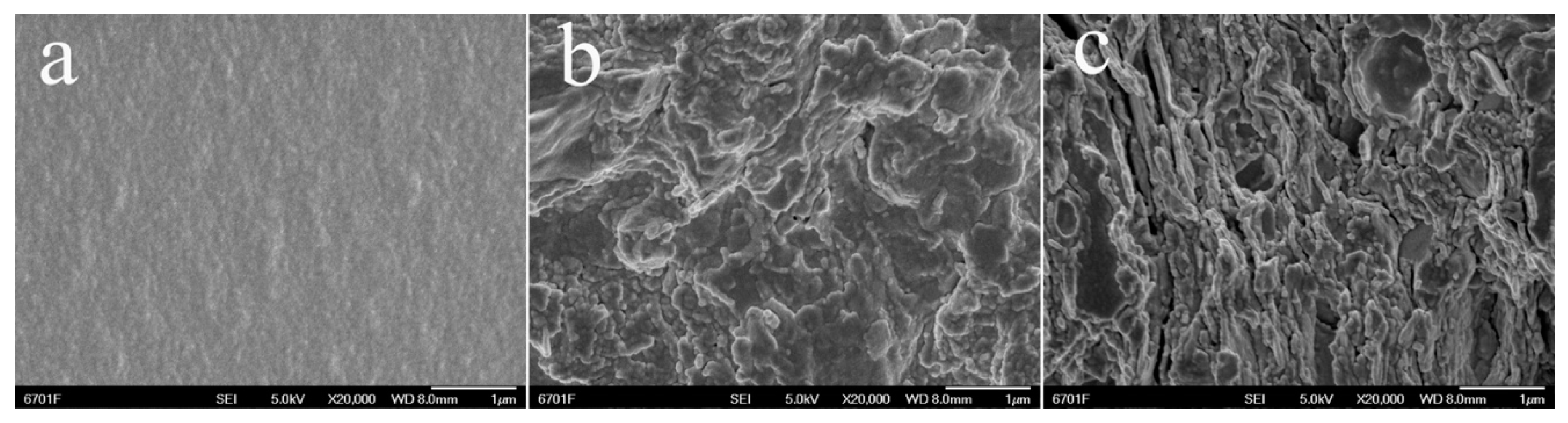 Polymers 12 02347 g002 Polymers 12 02347 g002