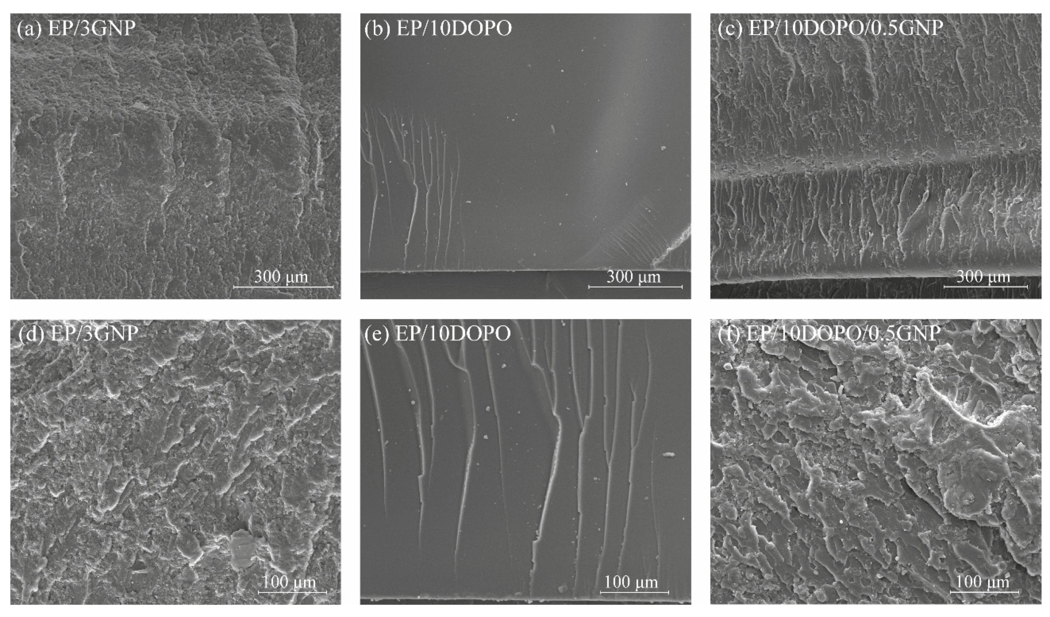 Polymers 12 02349 g003 Polymers 12 02349 g003