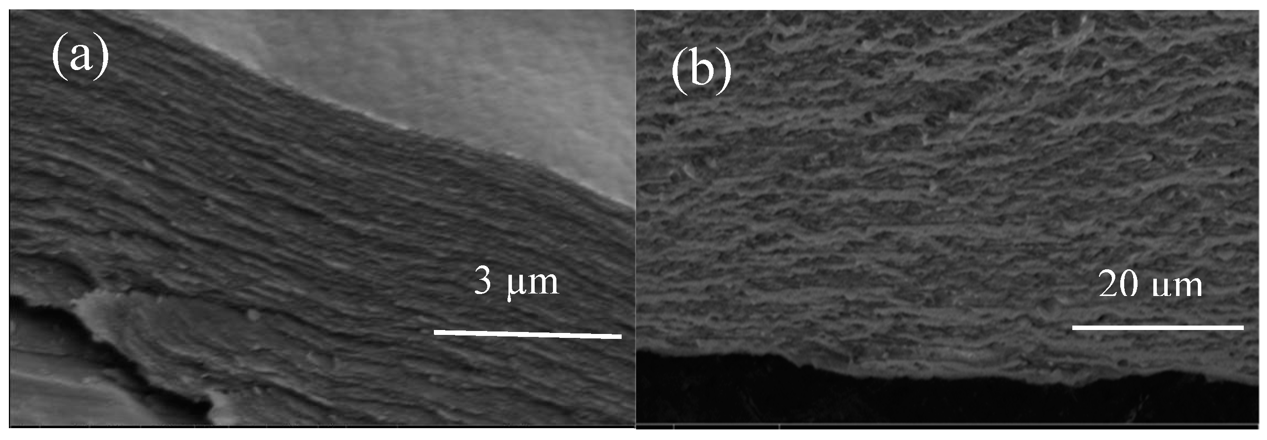 Polymers 12 02351 g014 Polymers 12 02351 g014