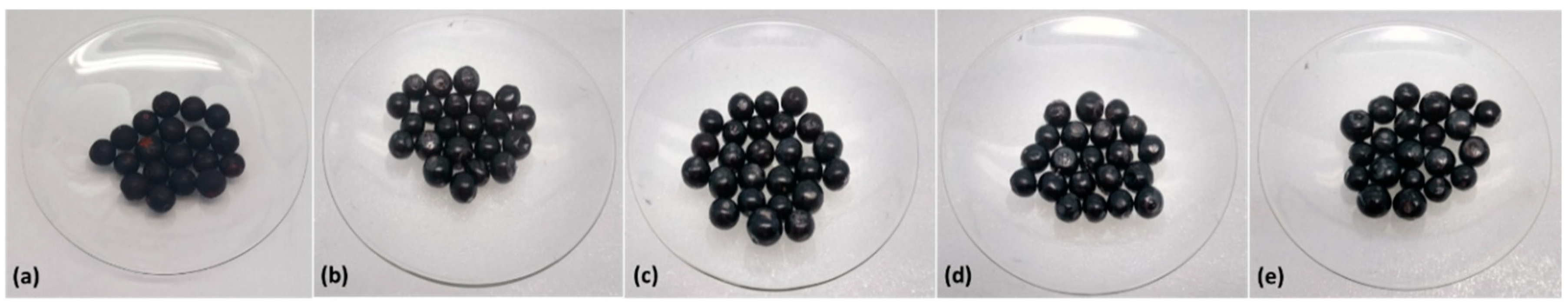 Polymers 12 02352 g002