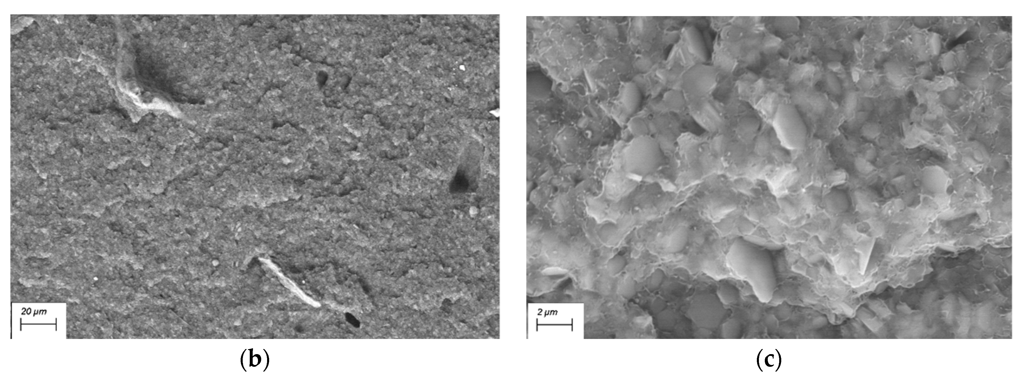 Polymers 12 02357 g006b