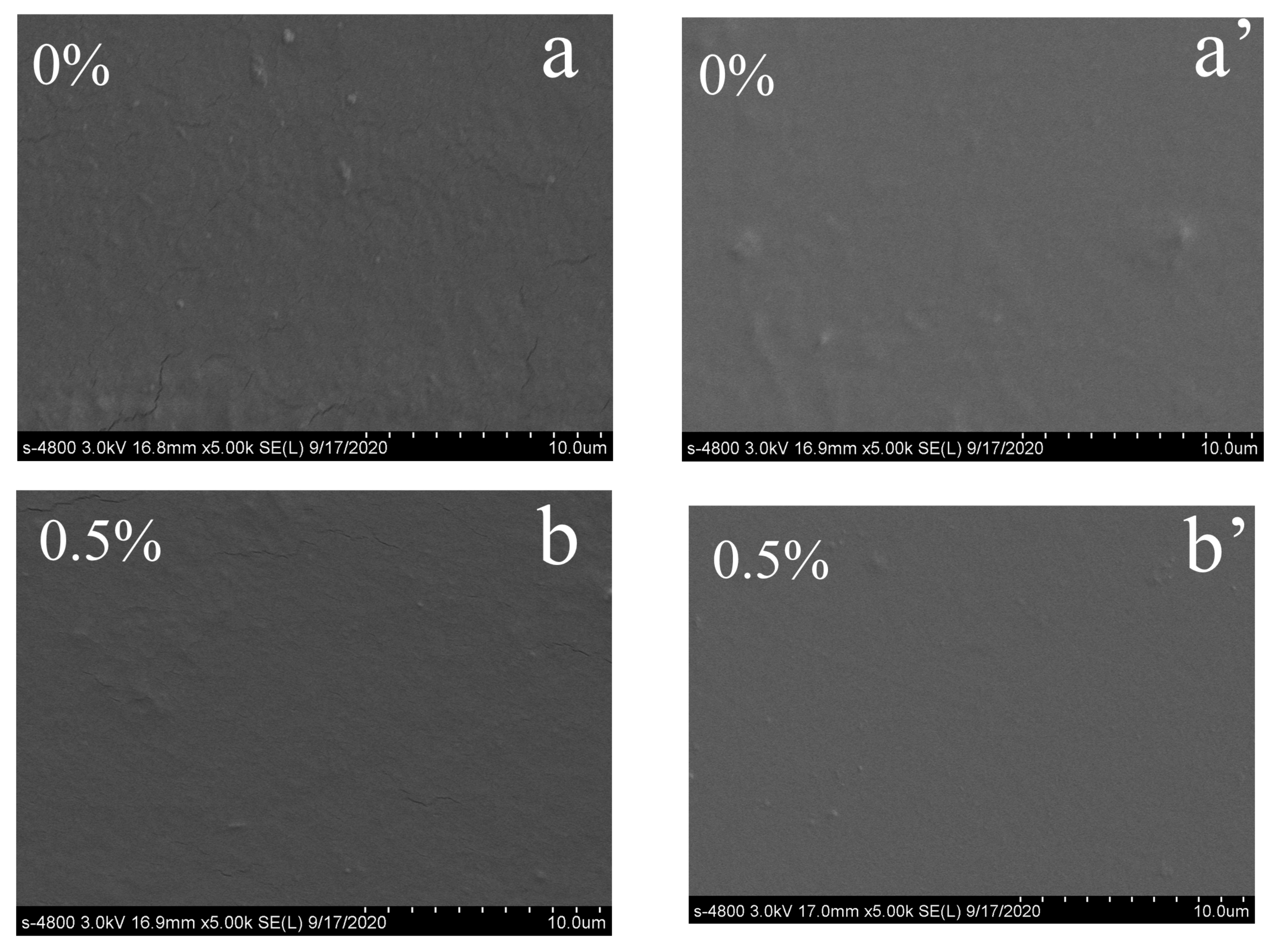 Polymers 12 02360 g005a Polymers 12 02360 g005a