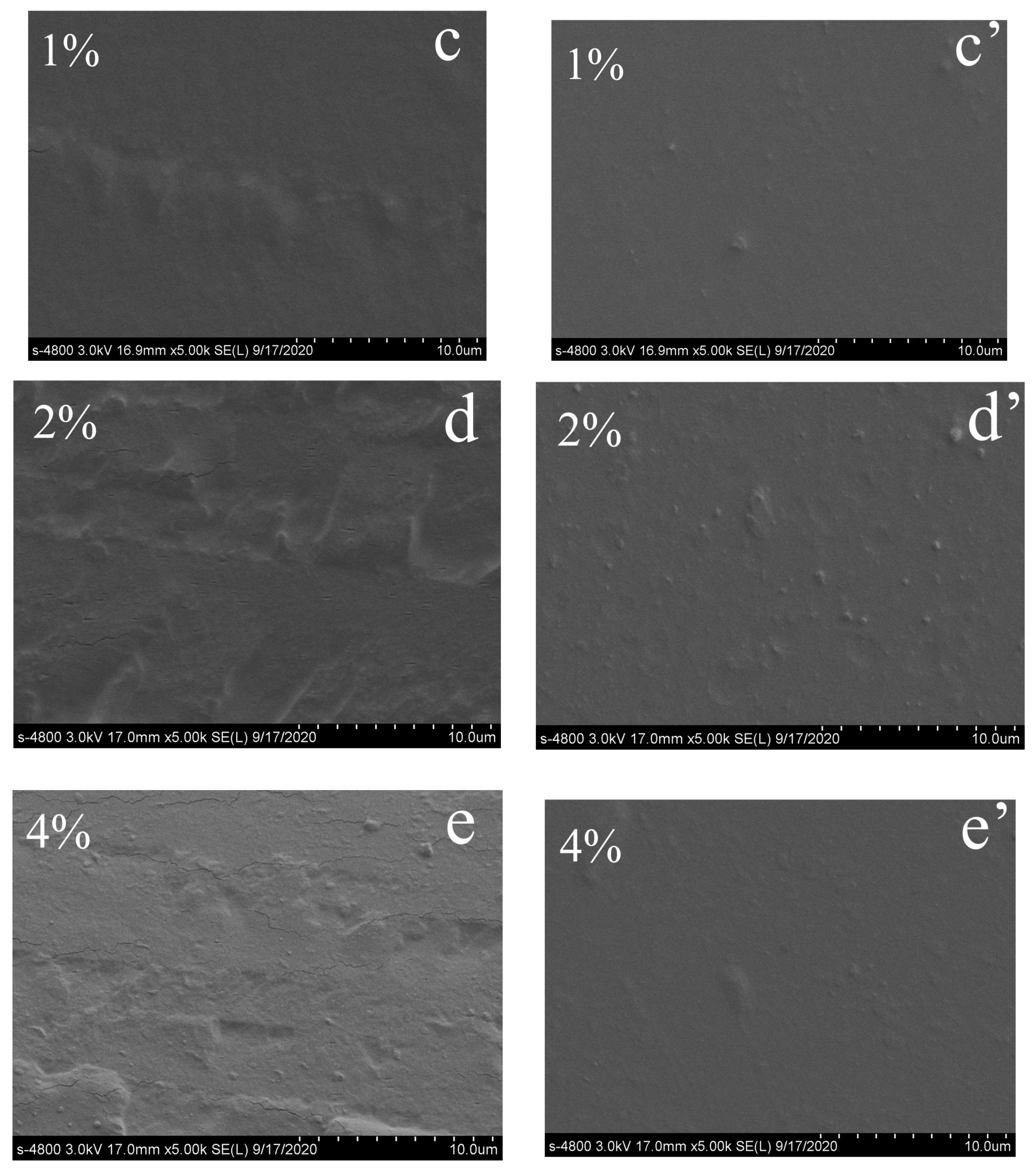 Polymers 12 02360 g005b Polymers 12 02360 g005b