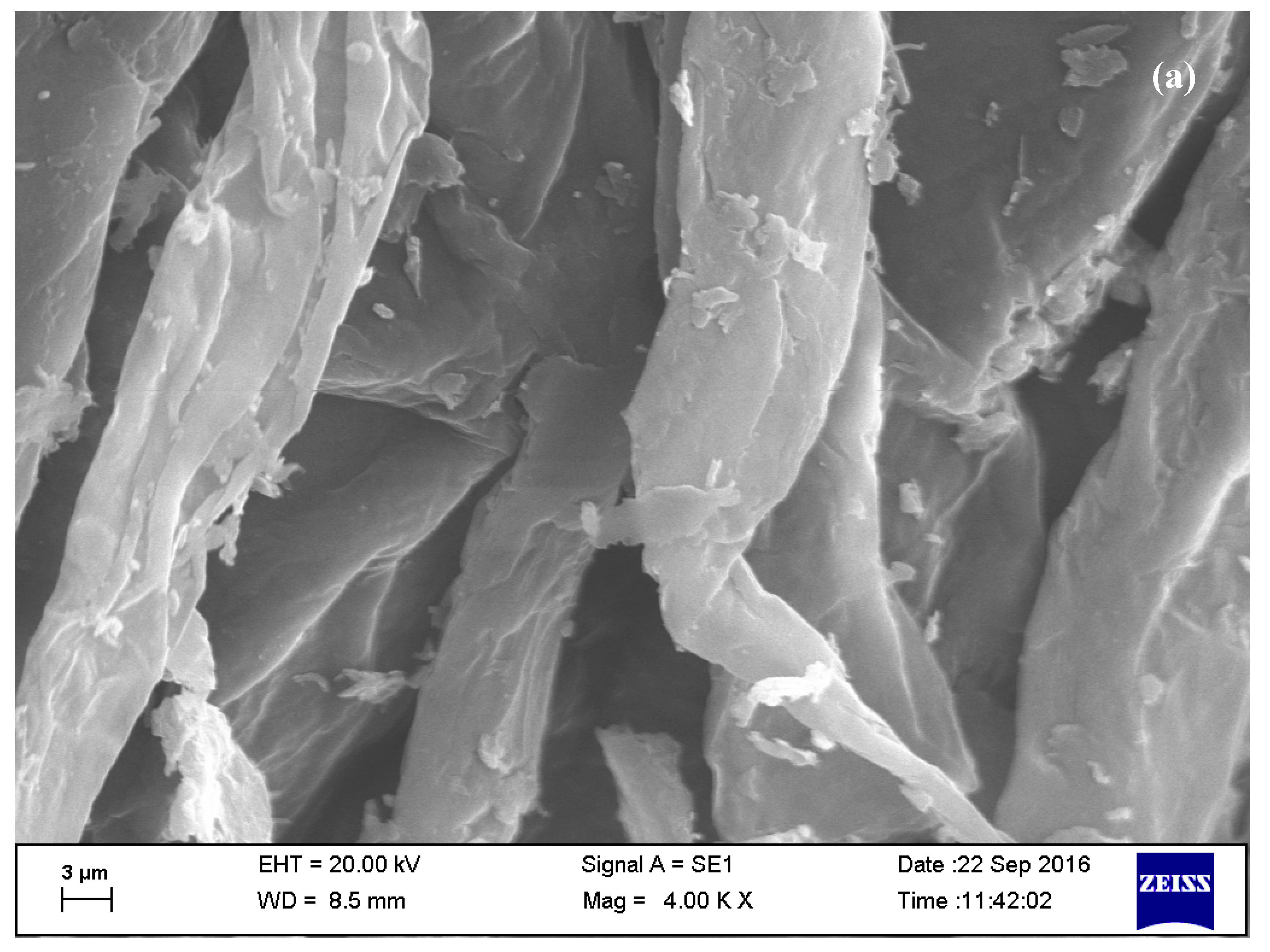 Polymers 12 02361 g005a Polymers 12 02361 g005a