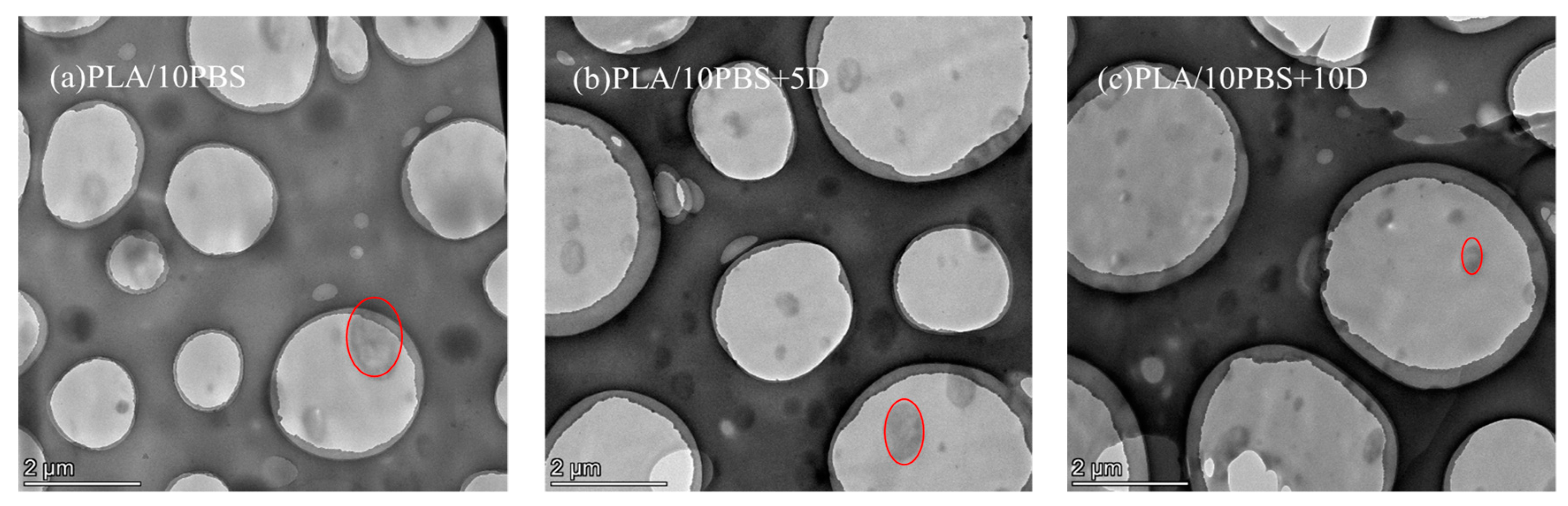 Polymers 12 02362 g003a