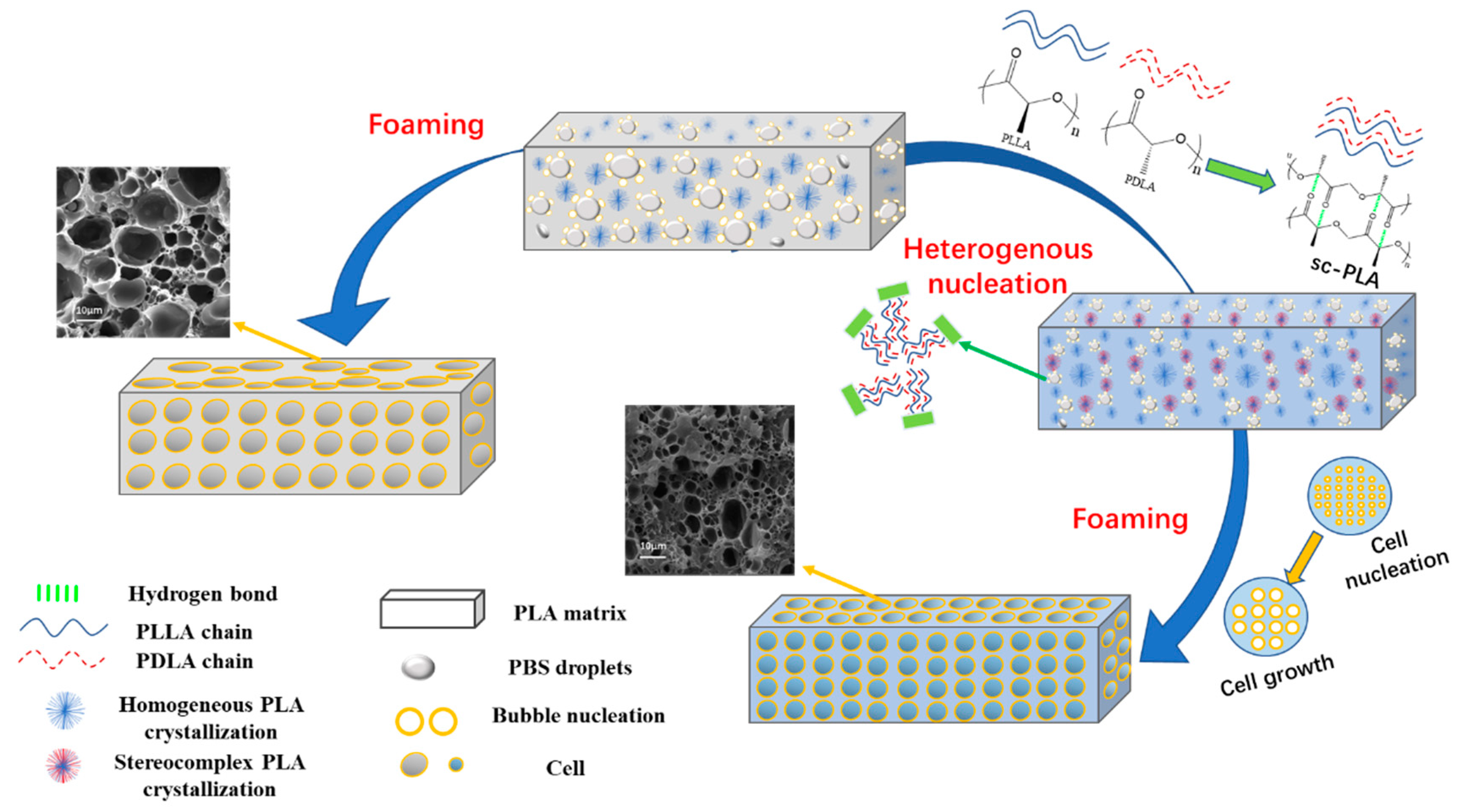 Polymers 12 02362 sch001