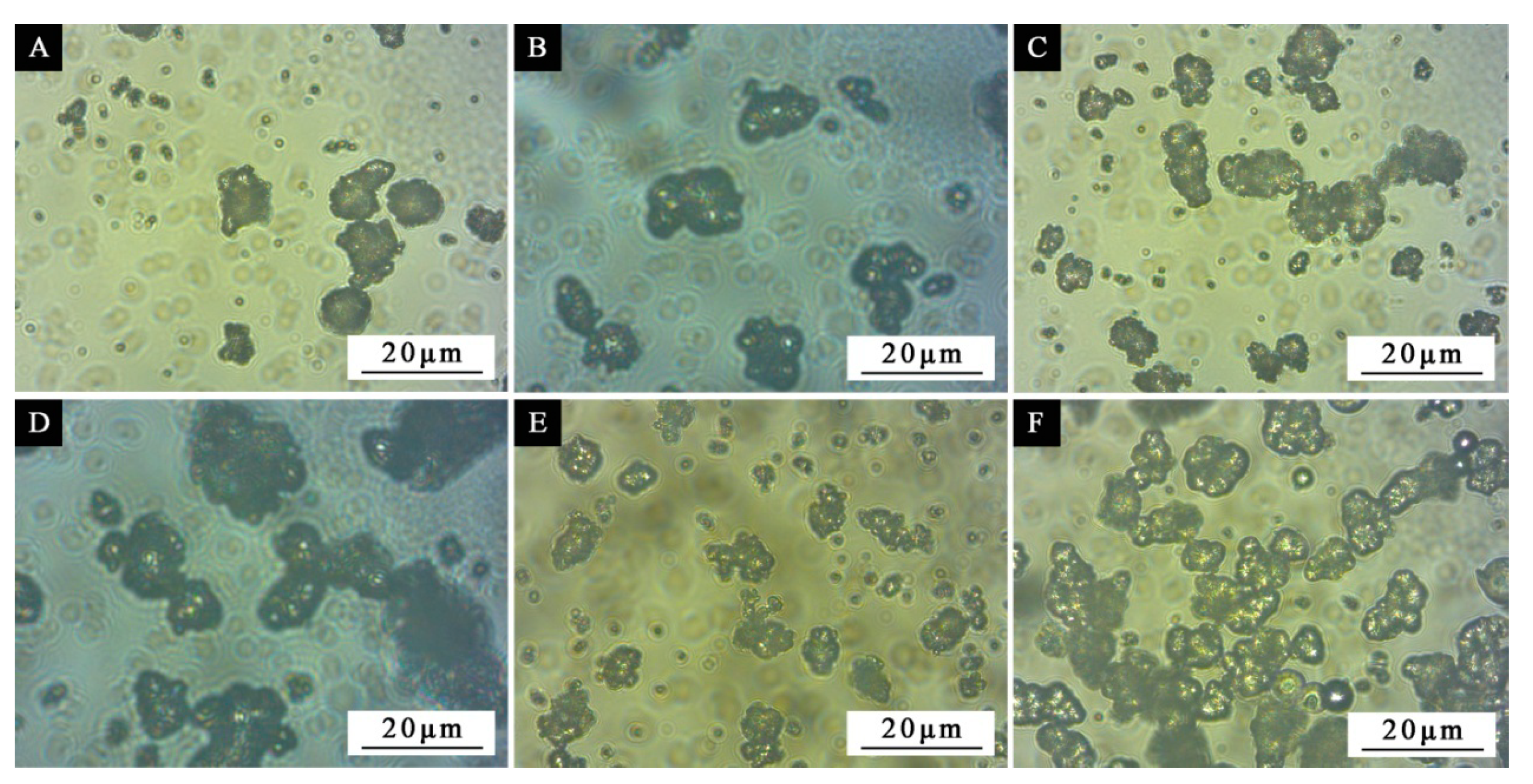 Polymers 12 02366 g005