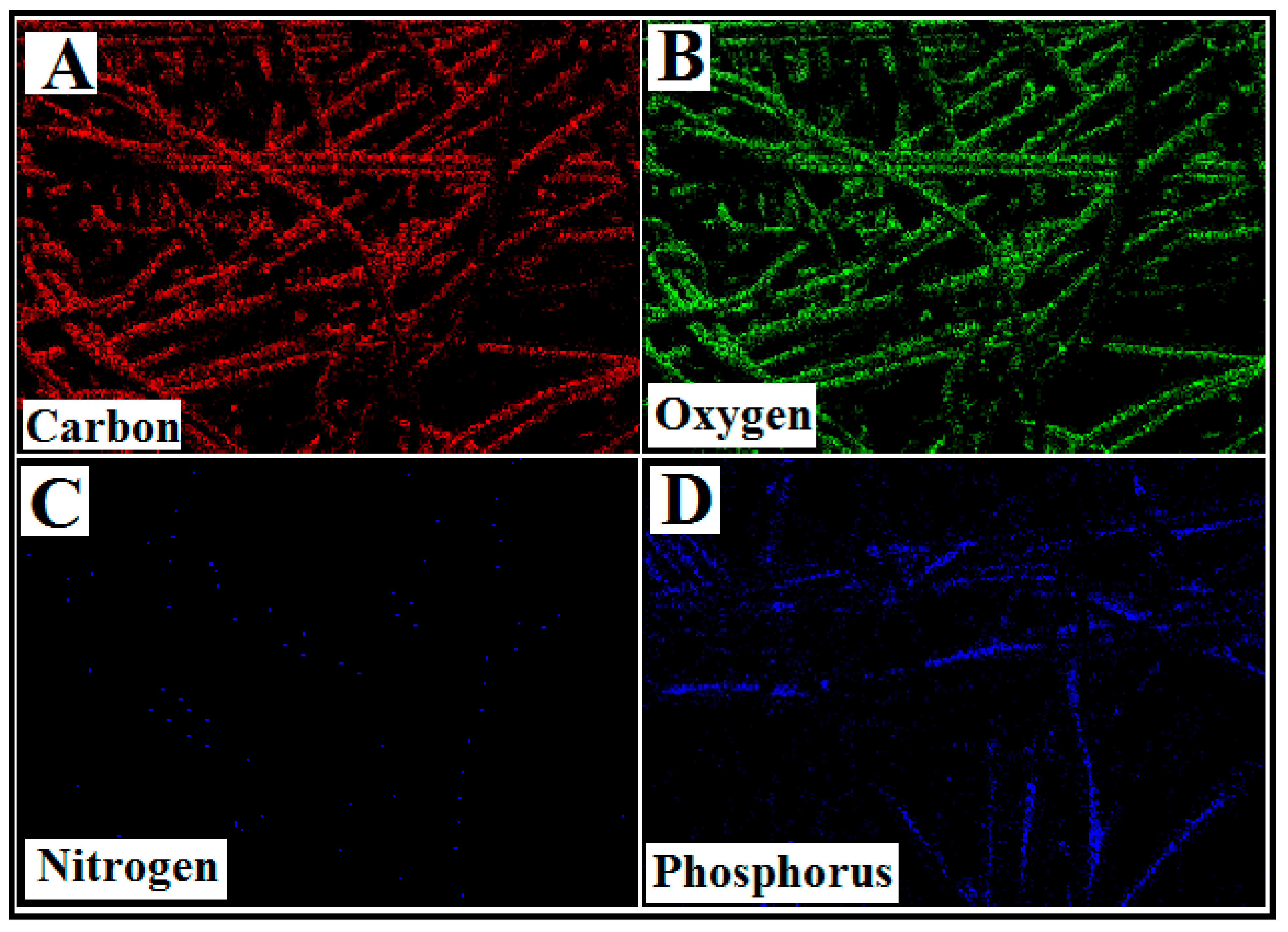 Polymers 12 02370 g003 Polymers 12 02370 g003