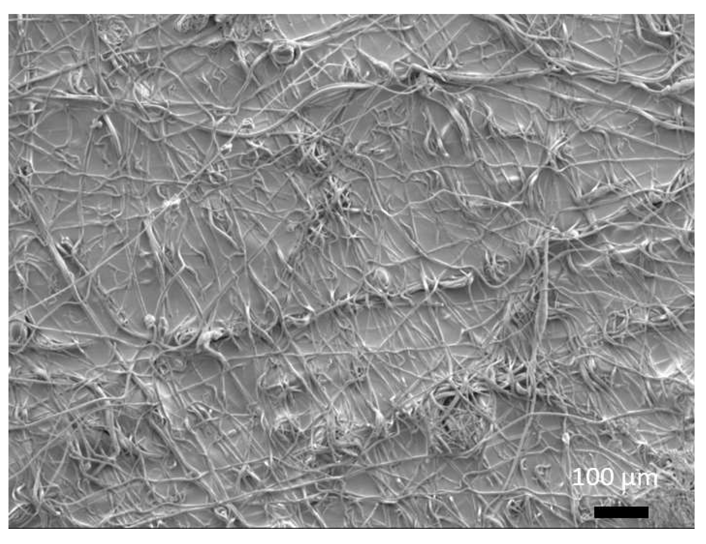 Polymers 12 02376 g0a2 Polymers 12 02376 g0a2