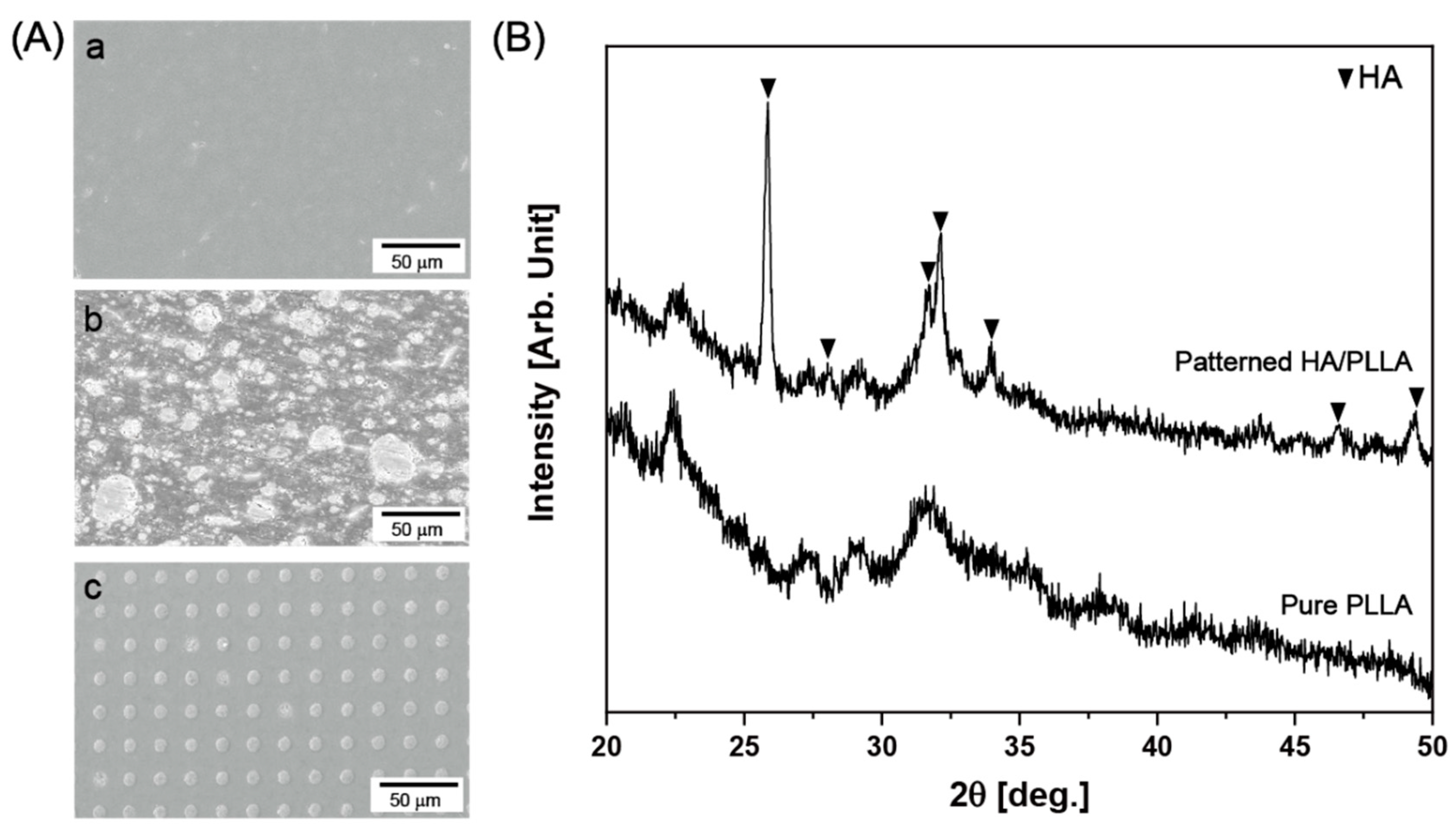 Polymers 12 02390 g002