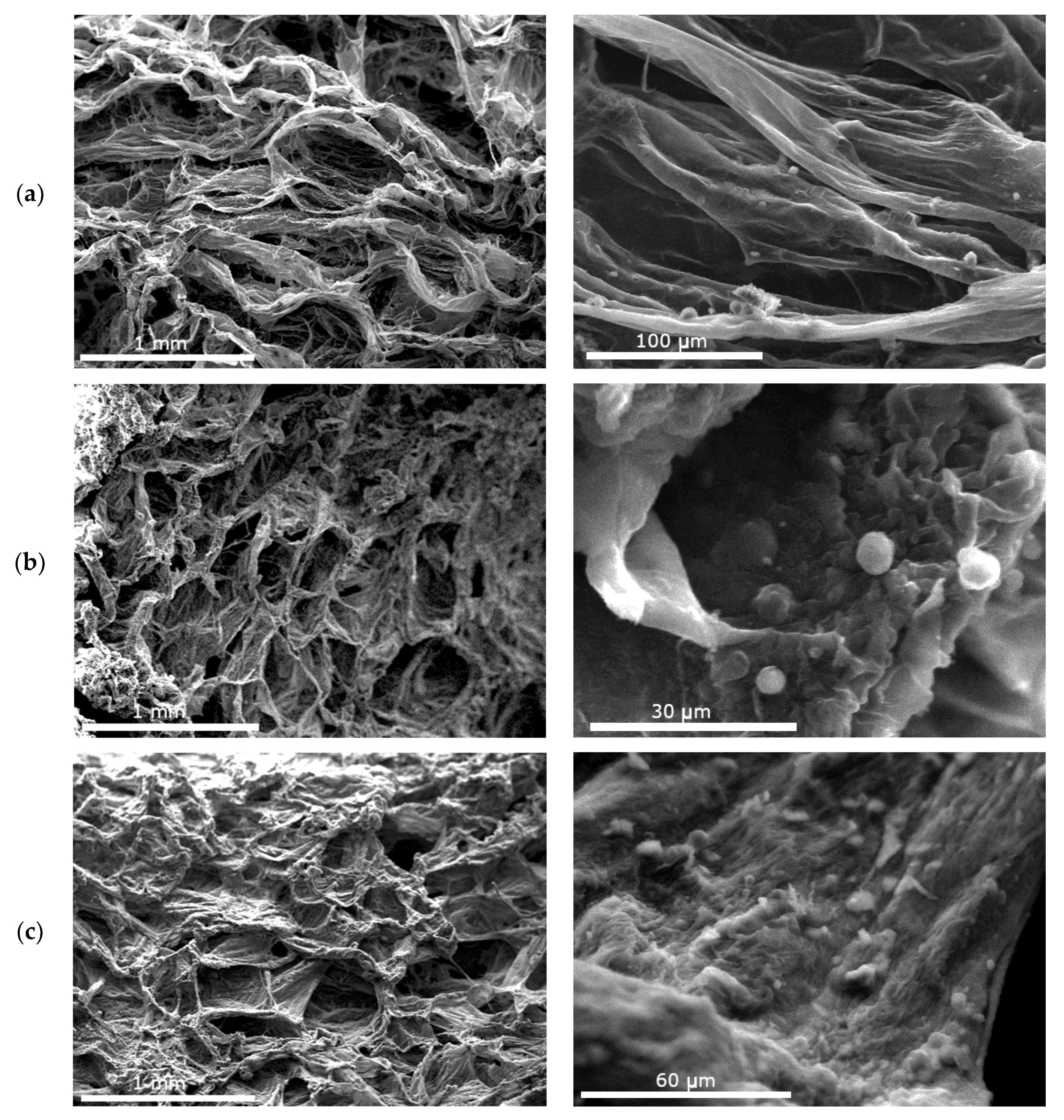 Polymers 12 02393 g004