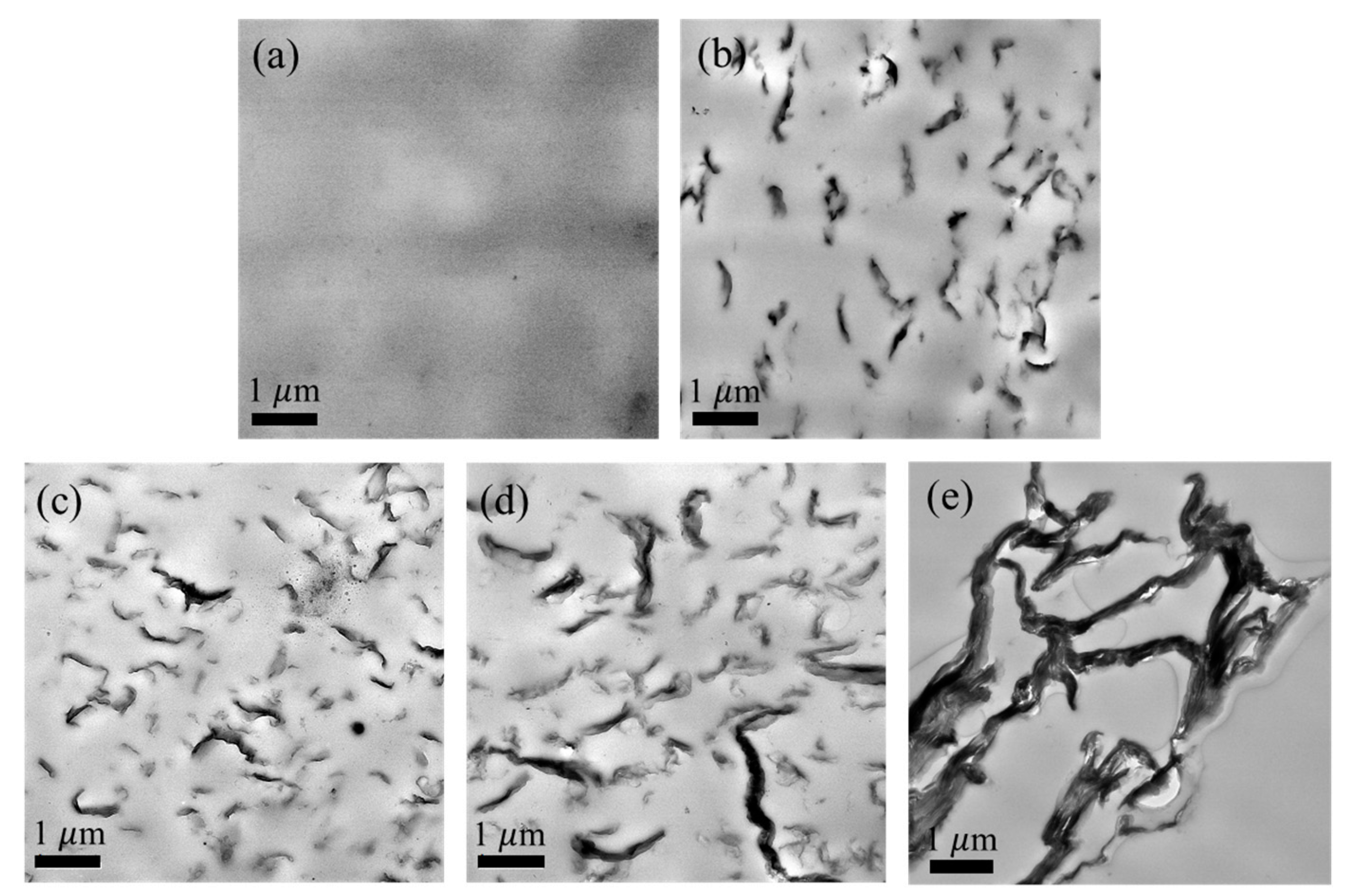 Polymers 12 02402 g003