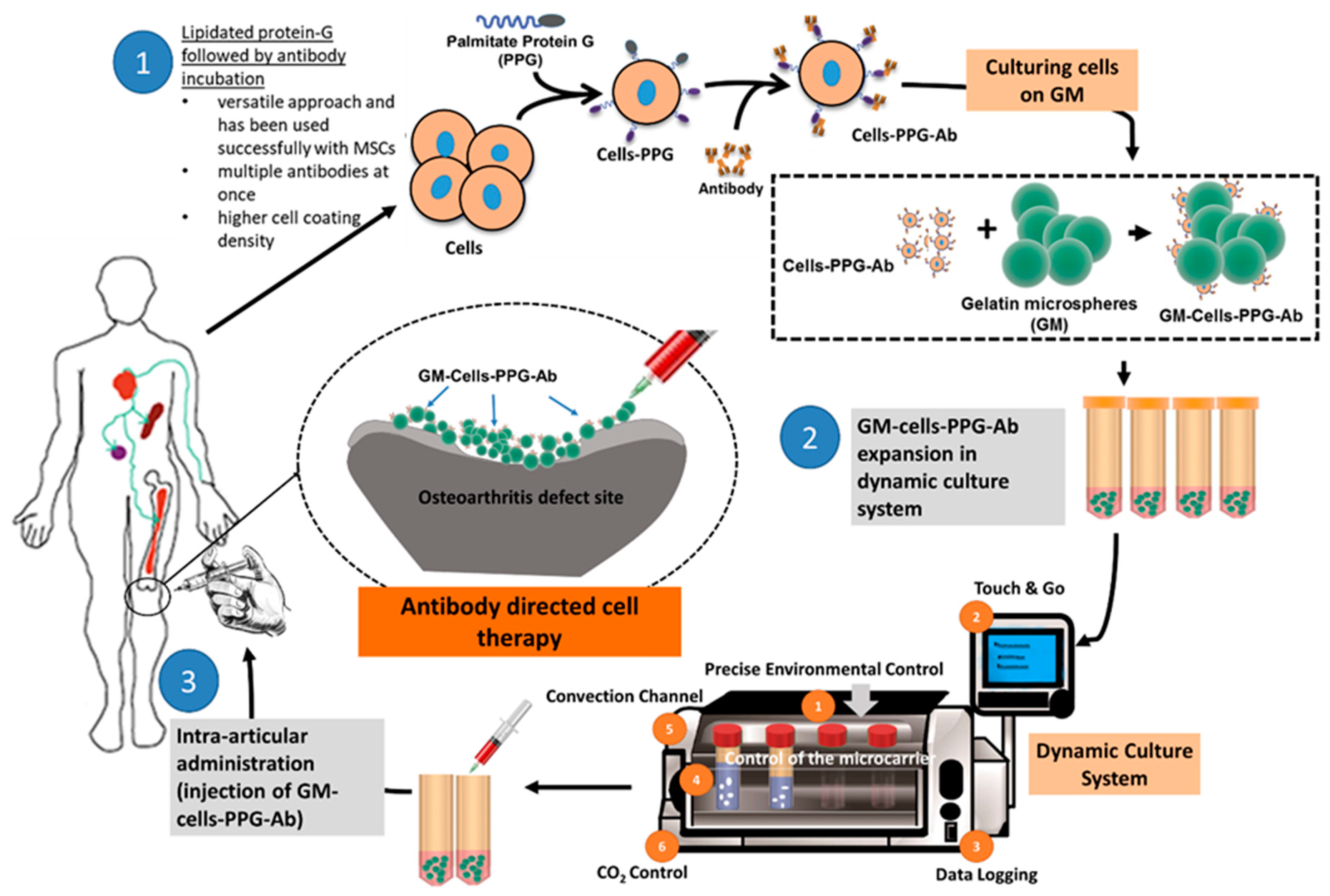 Polymers 12 02404 g004 Polymers 12 02404 g004
