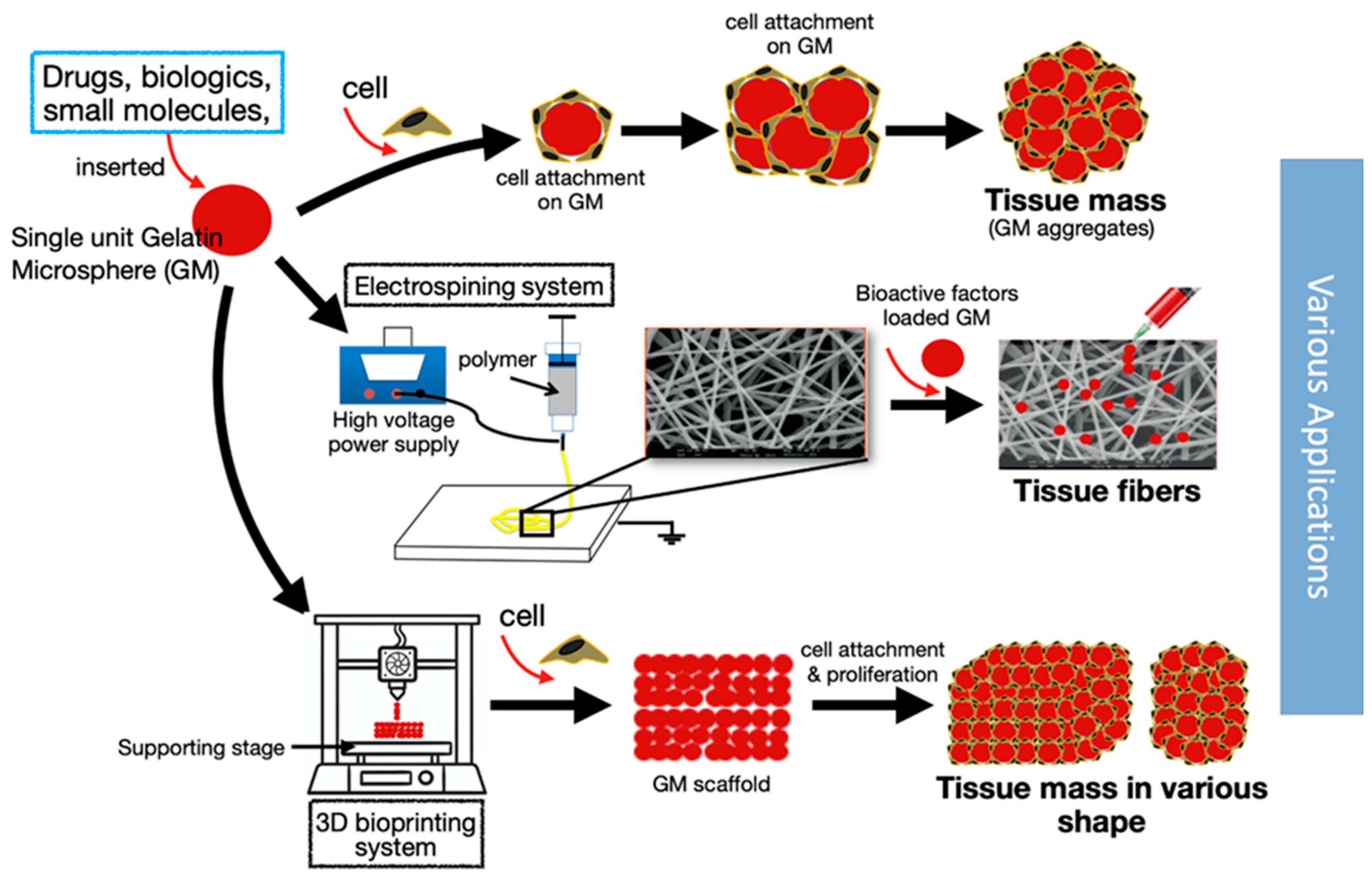 Polymers 12 02404 g005 Polymers 12 02404 g005