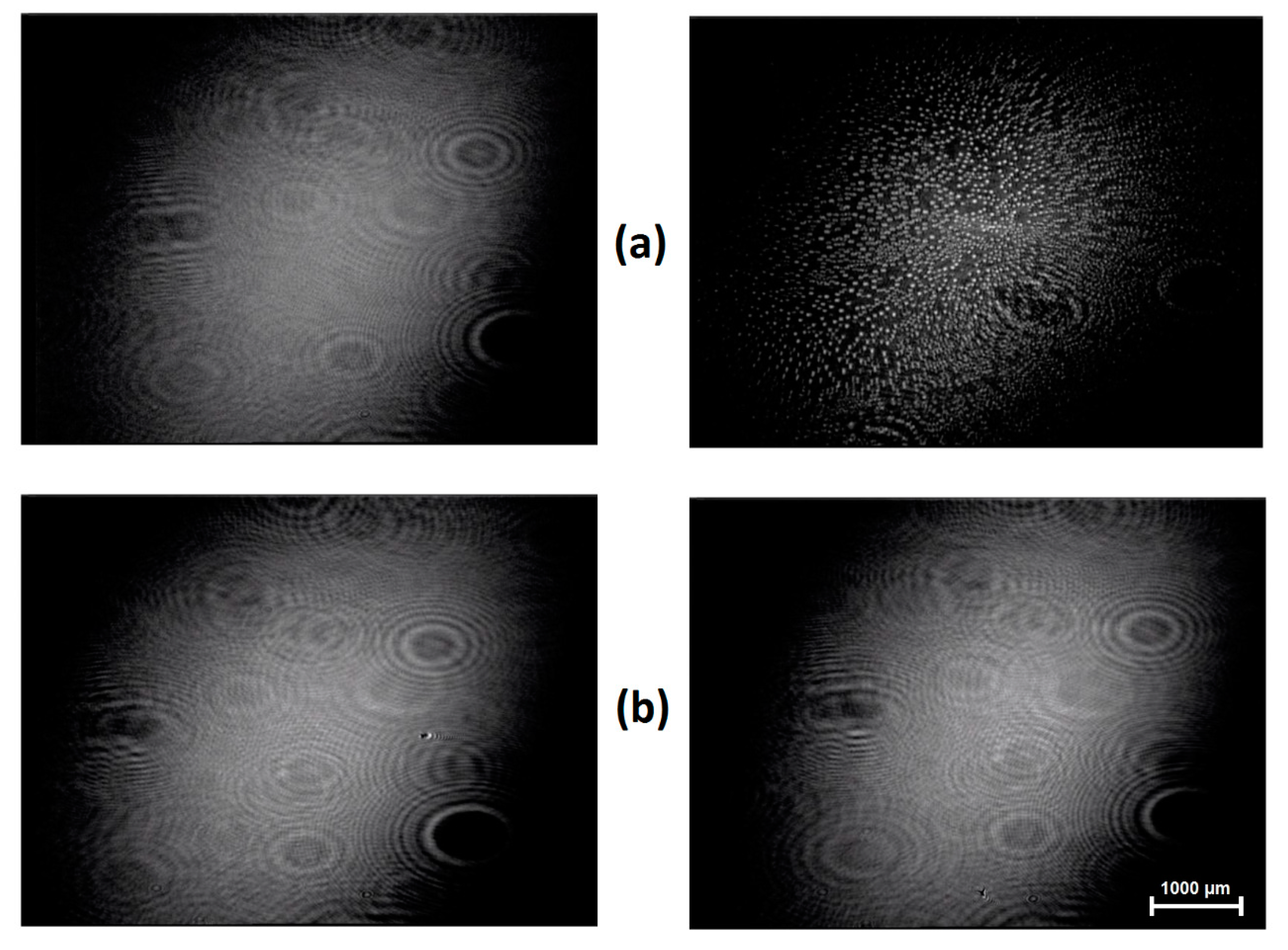 Polymers 12 02408 g003 Polymers 12 02408 g003