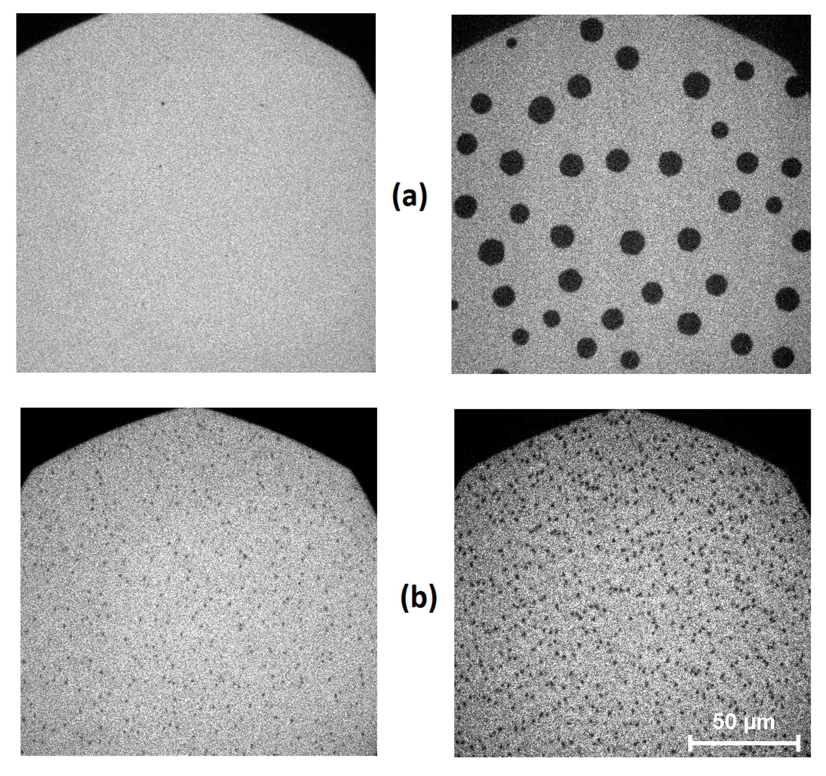Polymers 12 02408 g004 Polymers 12 02408 g004
