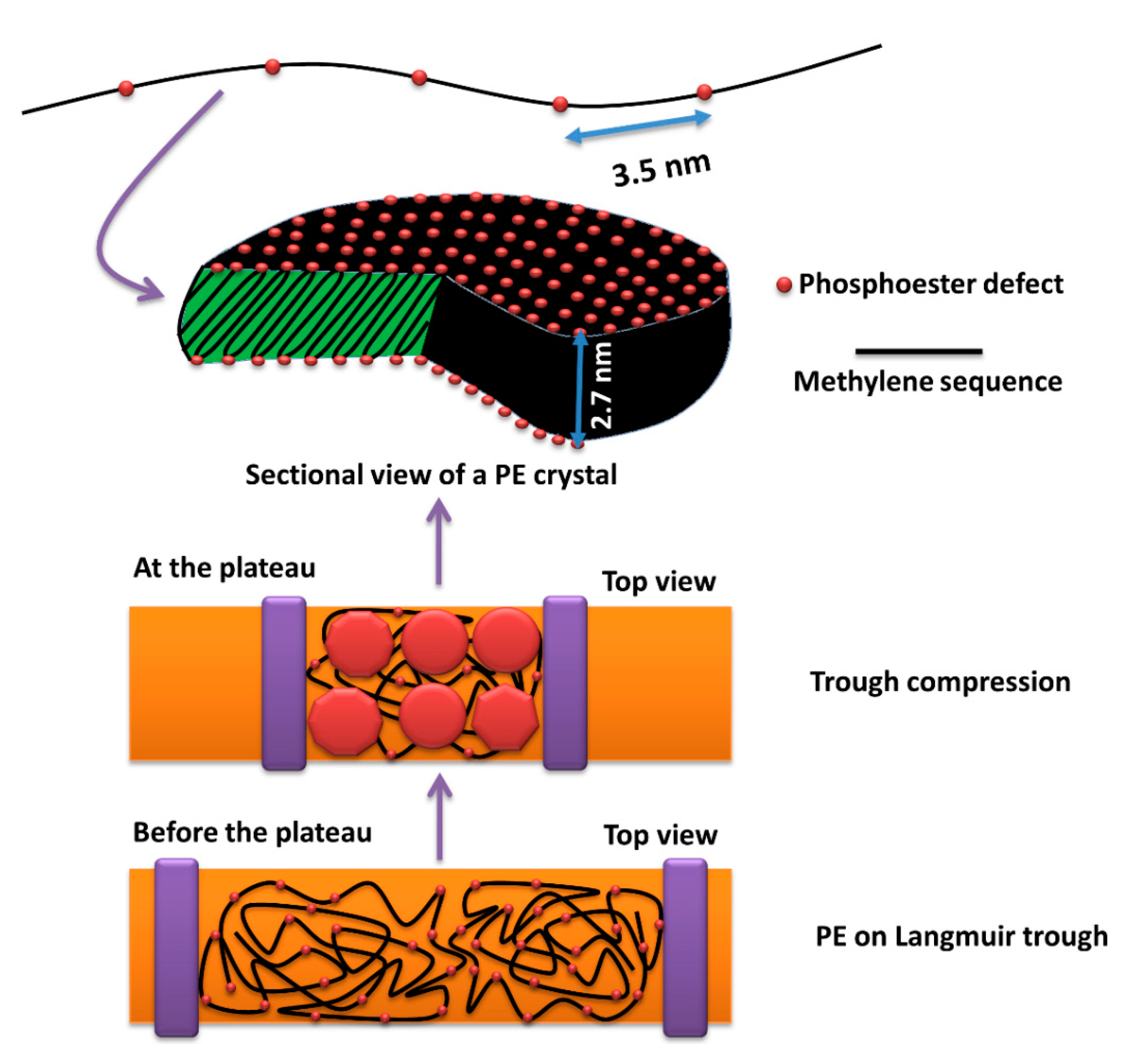 Polymers 12 02408 g008 Polymers 12 02408 g008