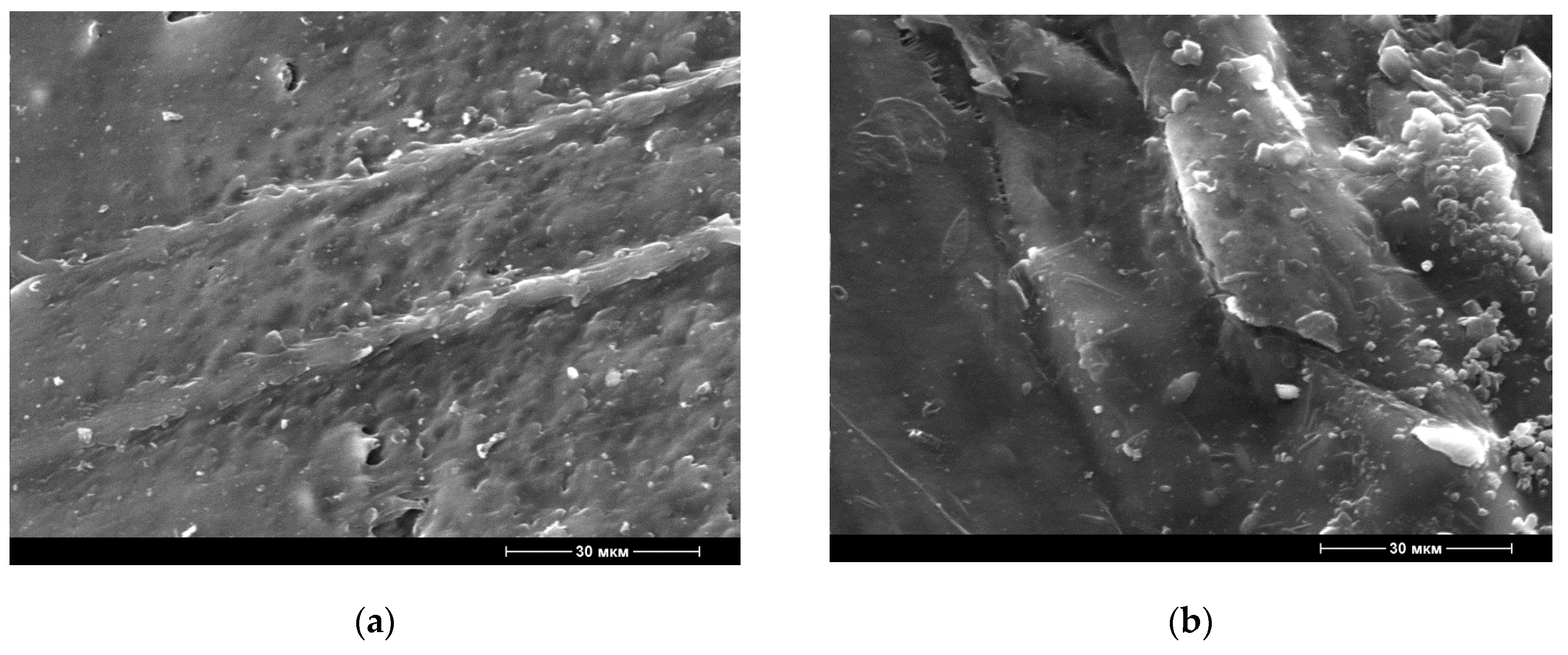 Polymers 12 02412 g004a