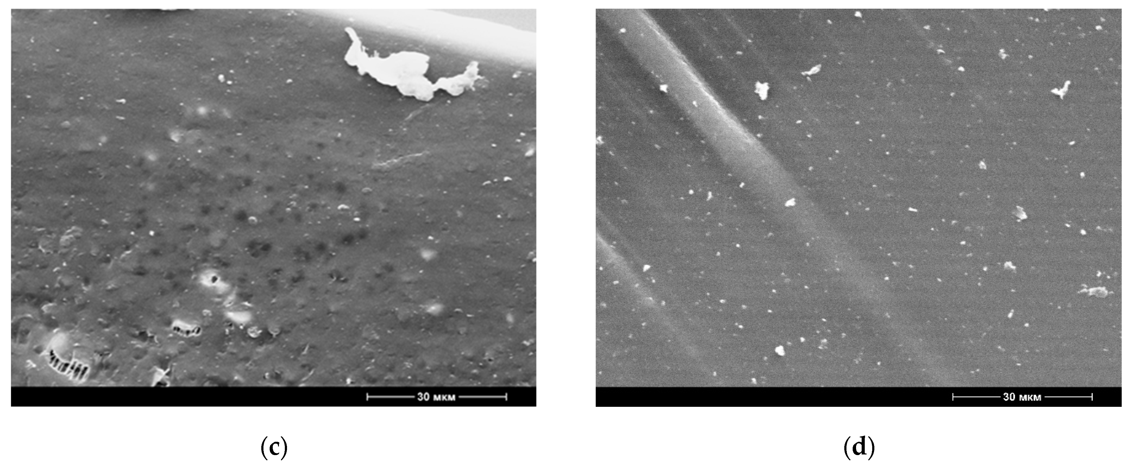 Polymers 12 02412 g004b