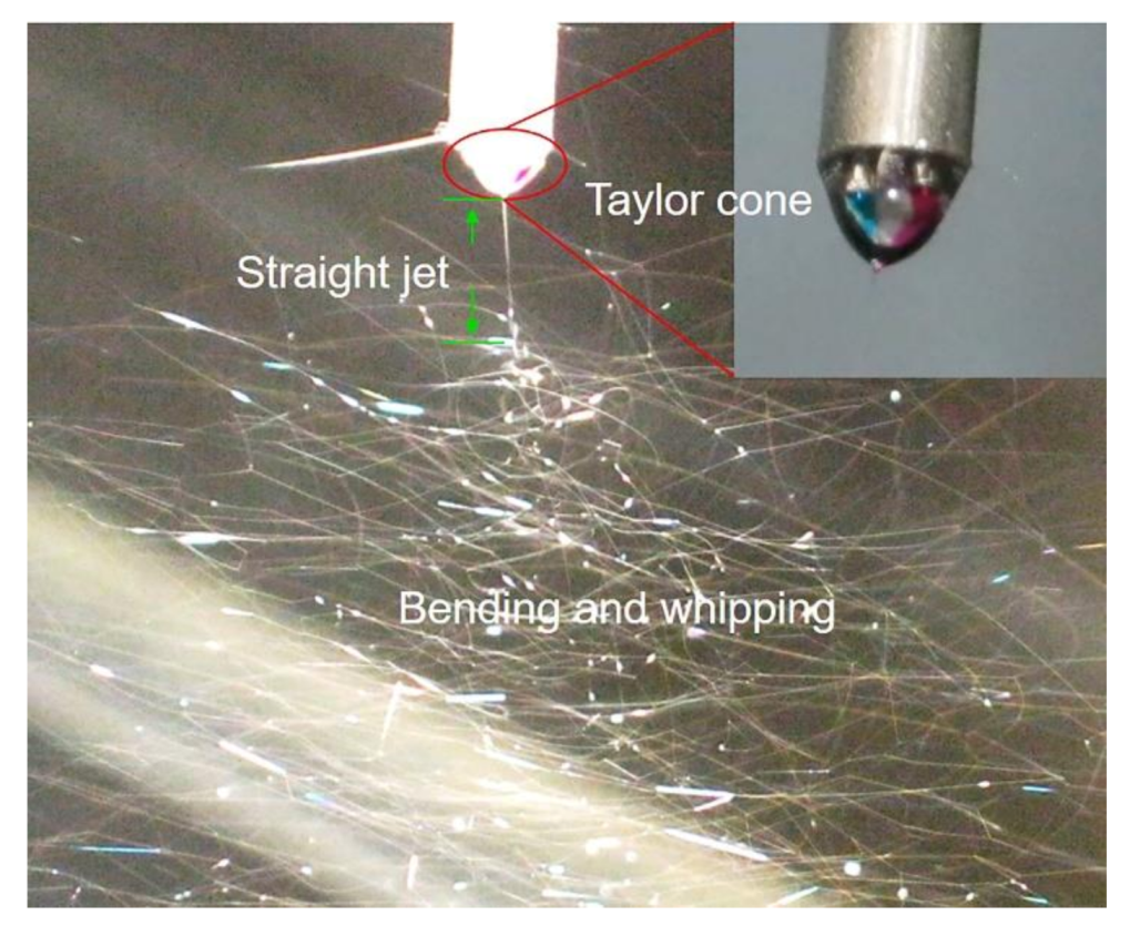 Polymers 12 02413 g002