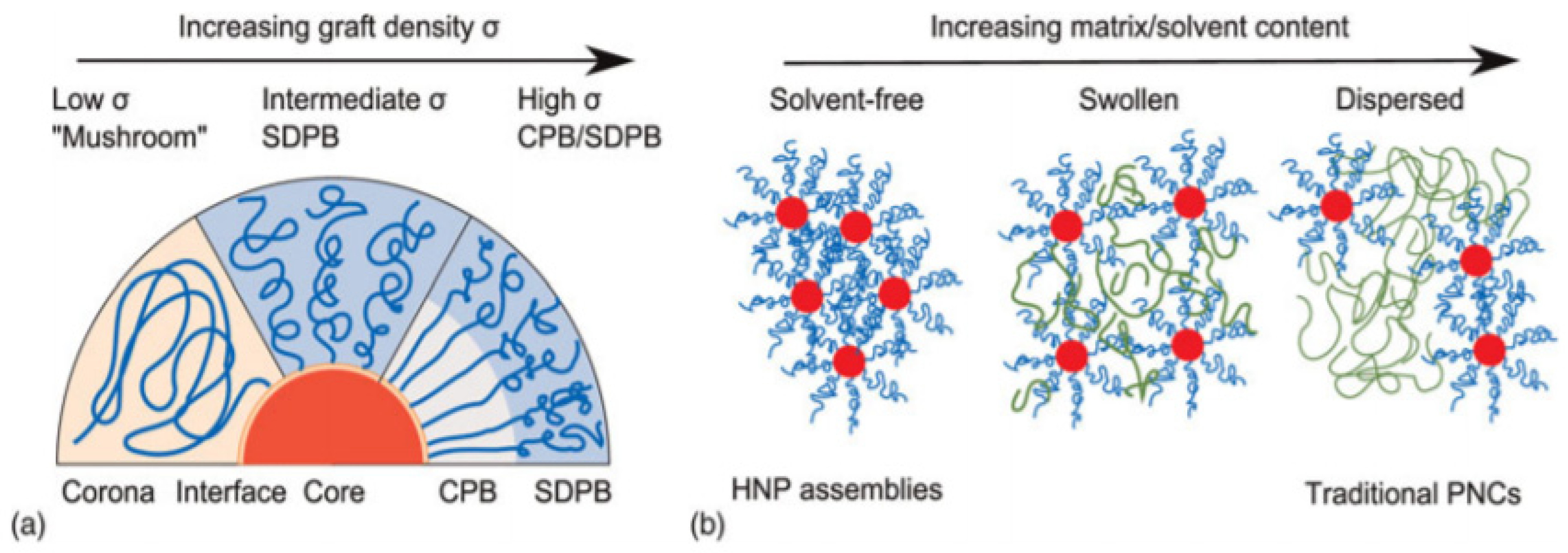 Polymers 12 02415 g002