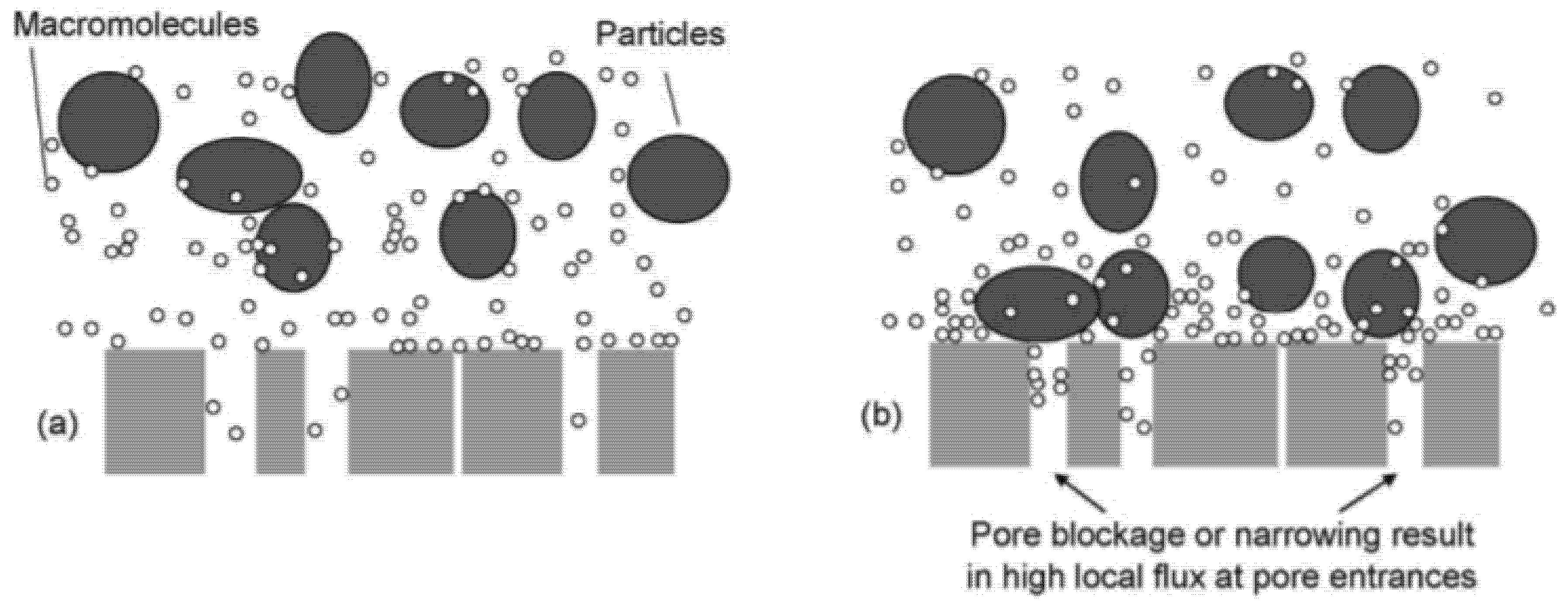 Polymers 12 02415 g006