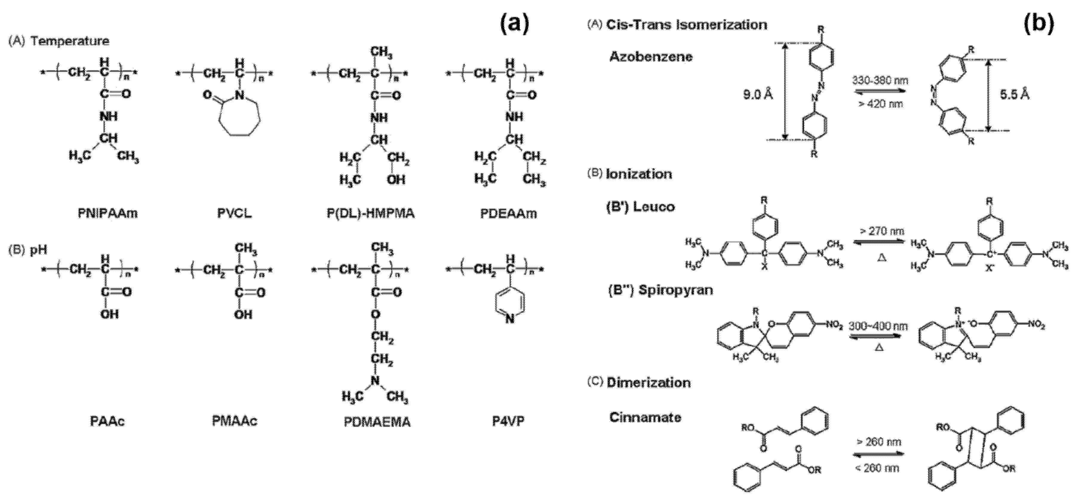Polymers 12 02415 g008
