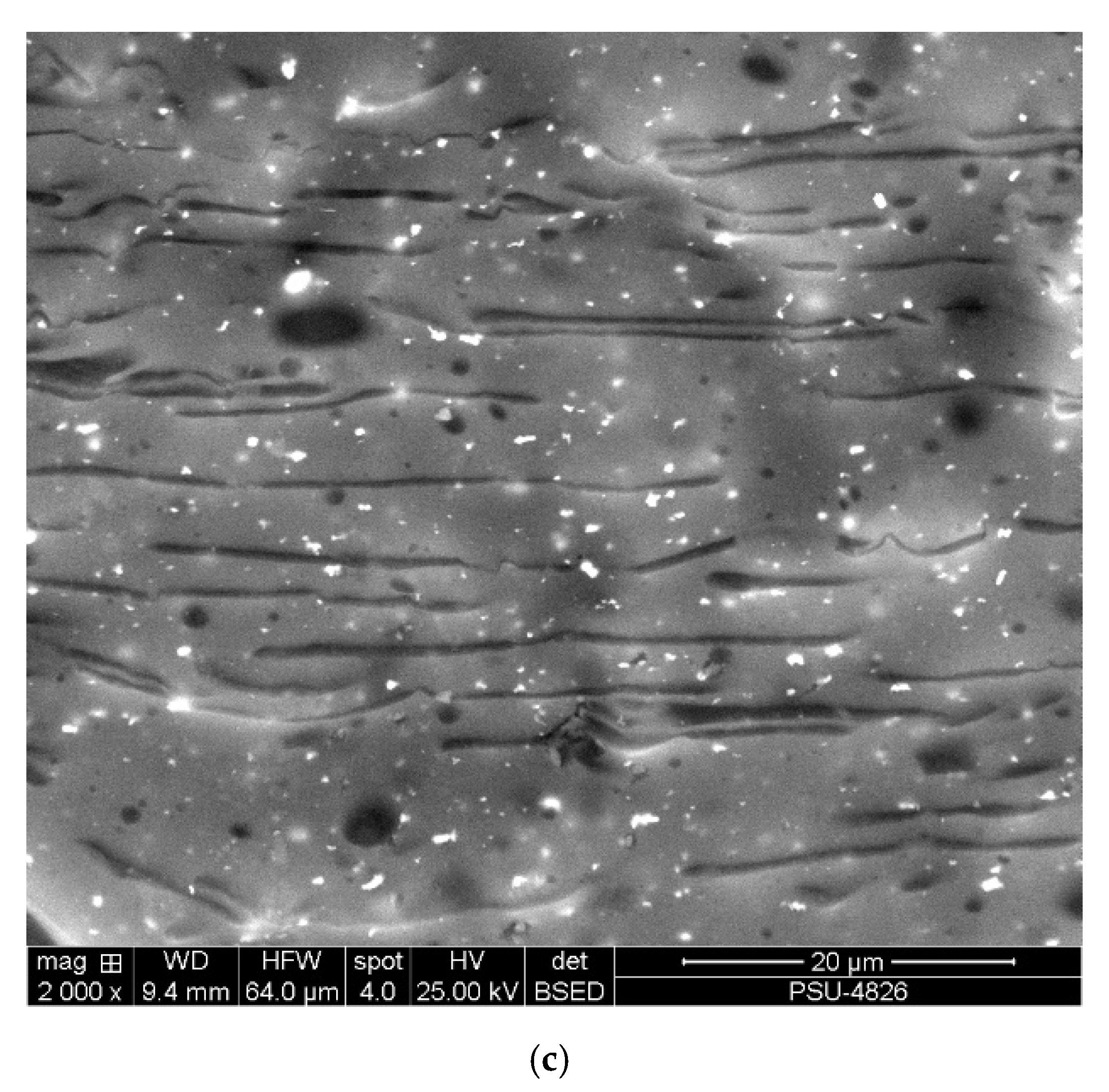 Polymers 12 02416 g001b Polymers 12 02416 g001b