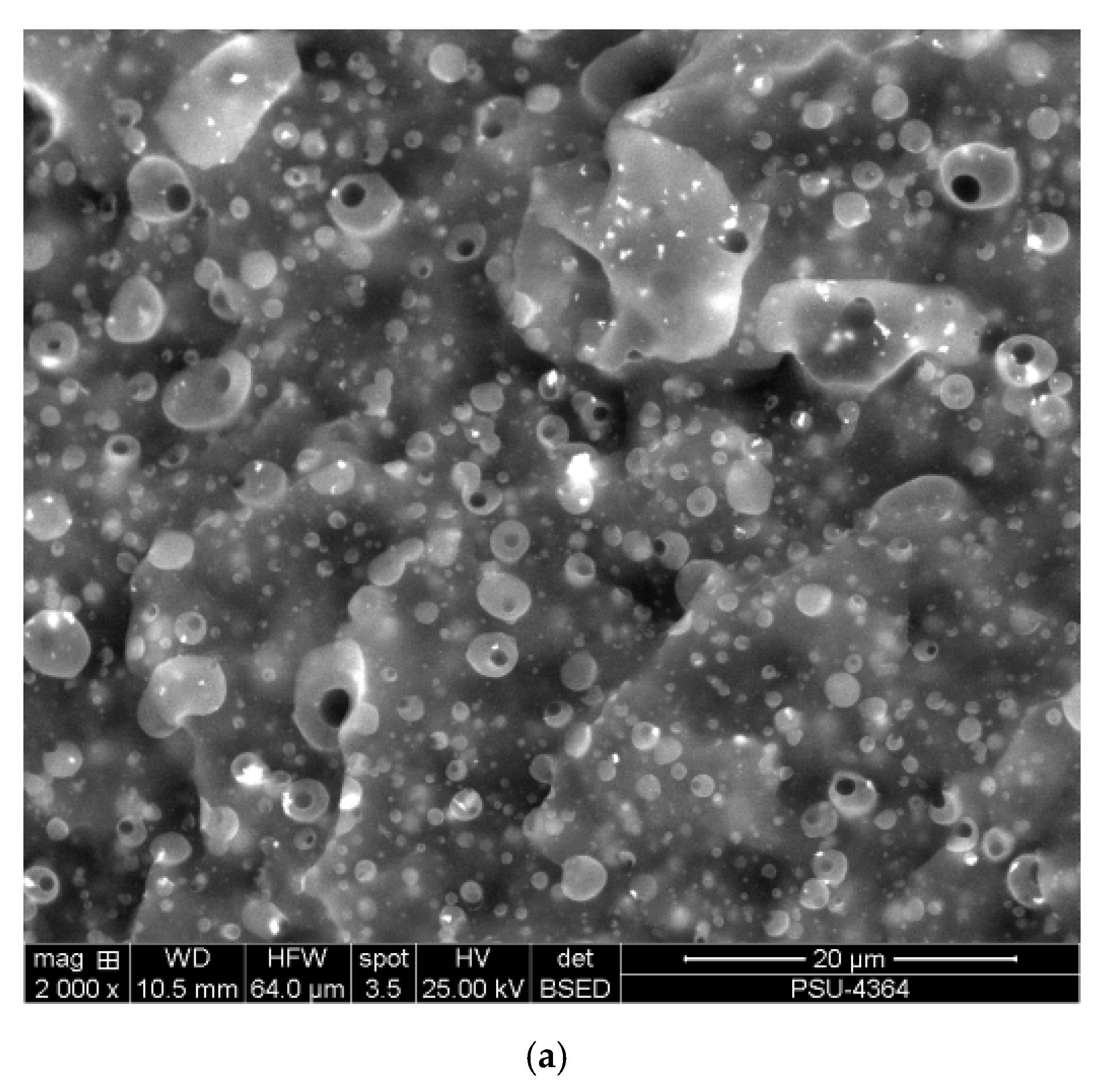 Polymers 12 02416 g002a Polymers 12 02416 g002a