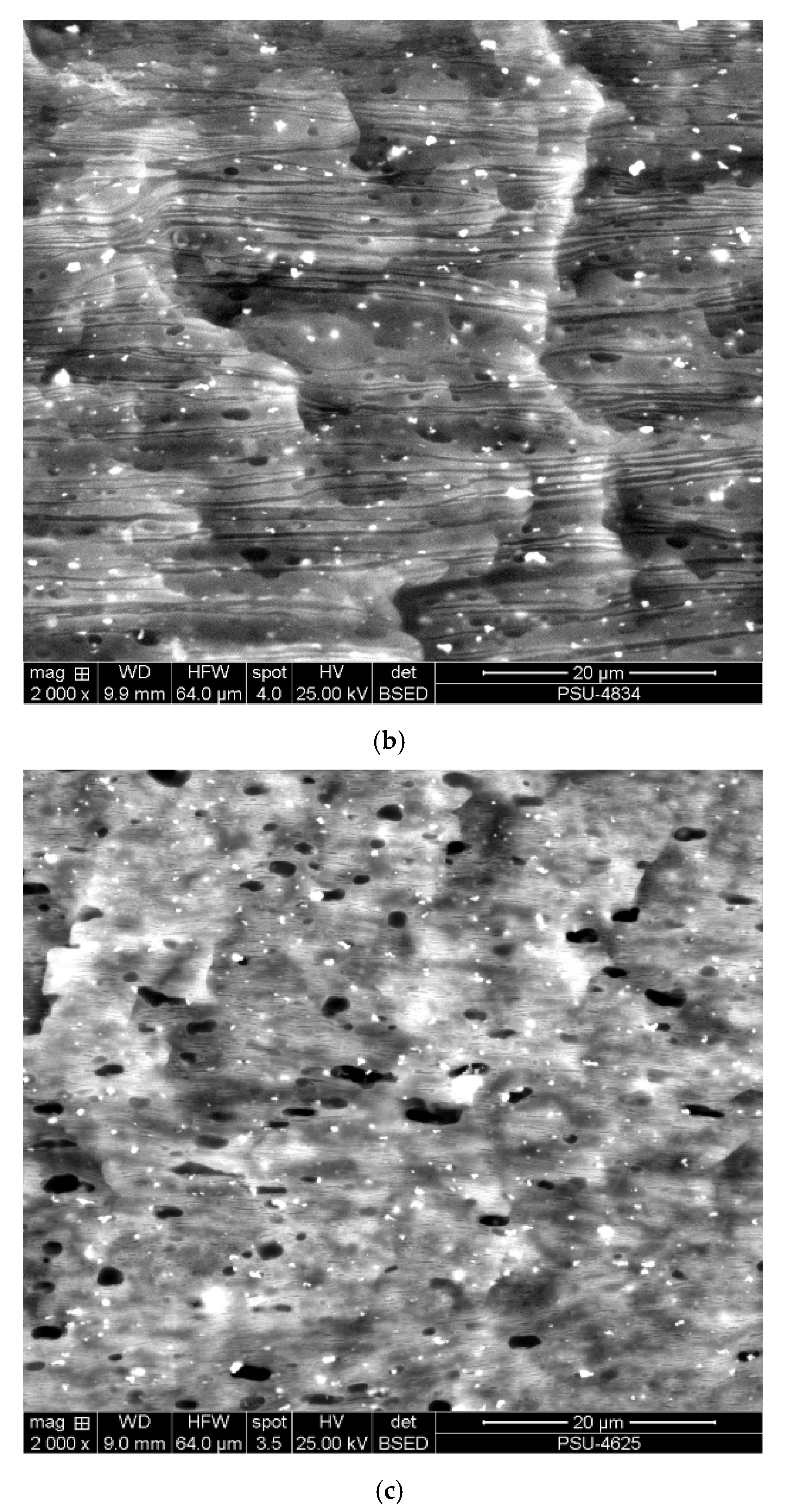 Polymers 12 02416 g002b Polymers 12 02416 g002b