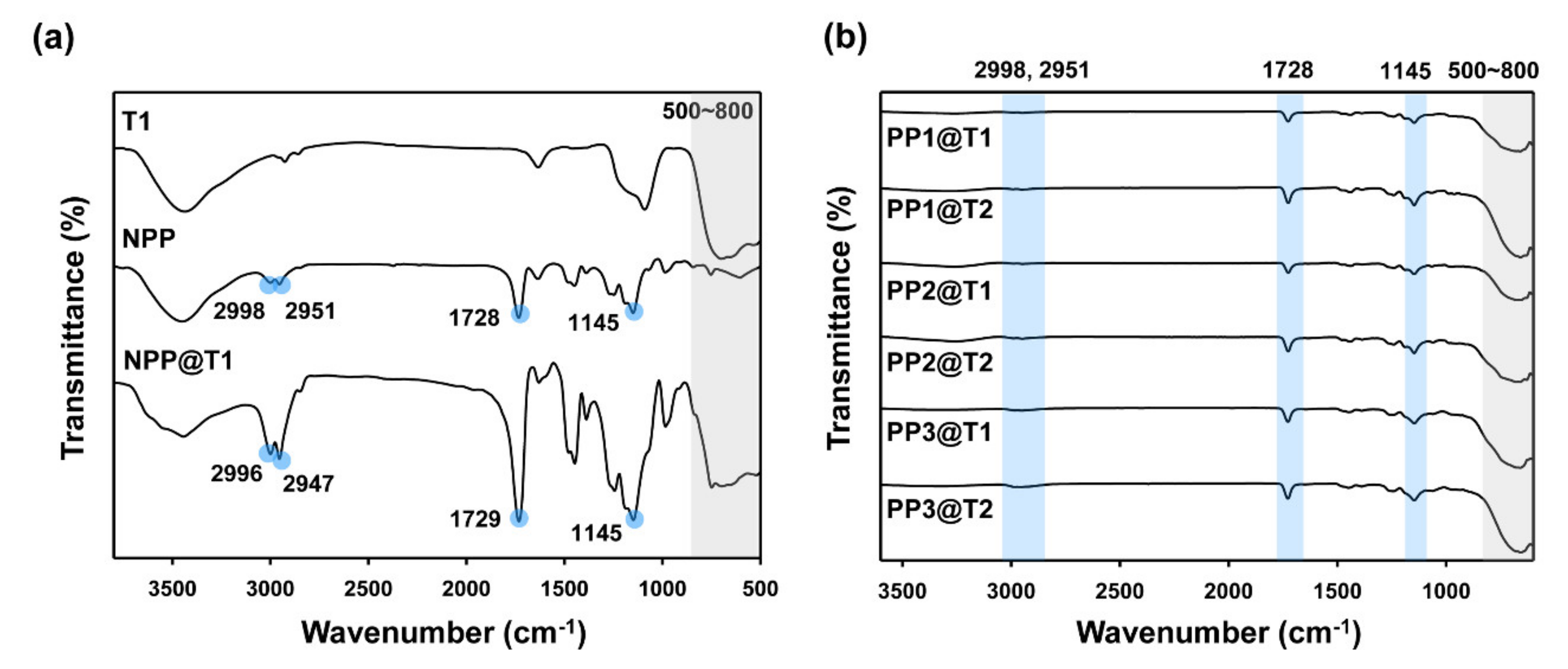 Polymers 12 02418 g002