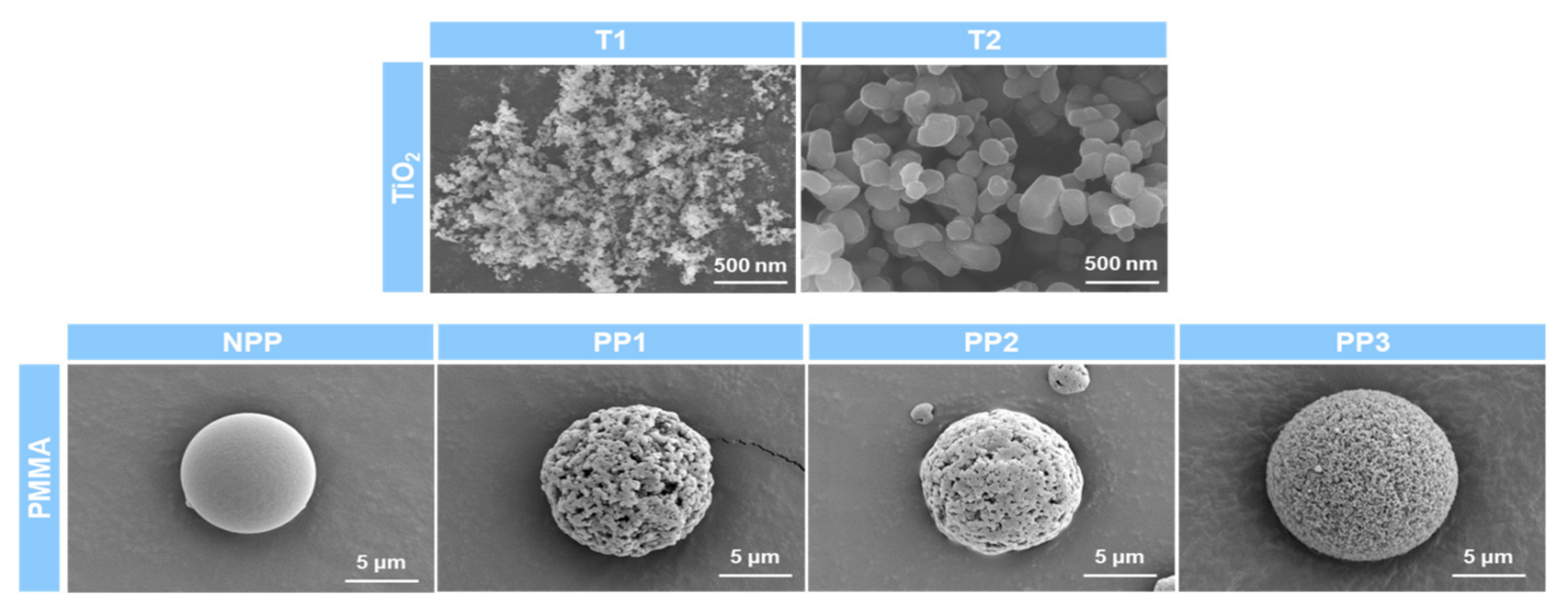 Polymers 12 02418 g003