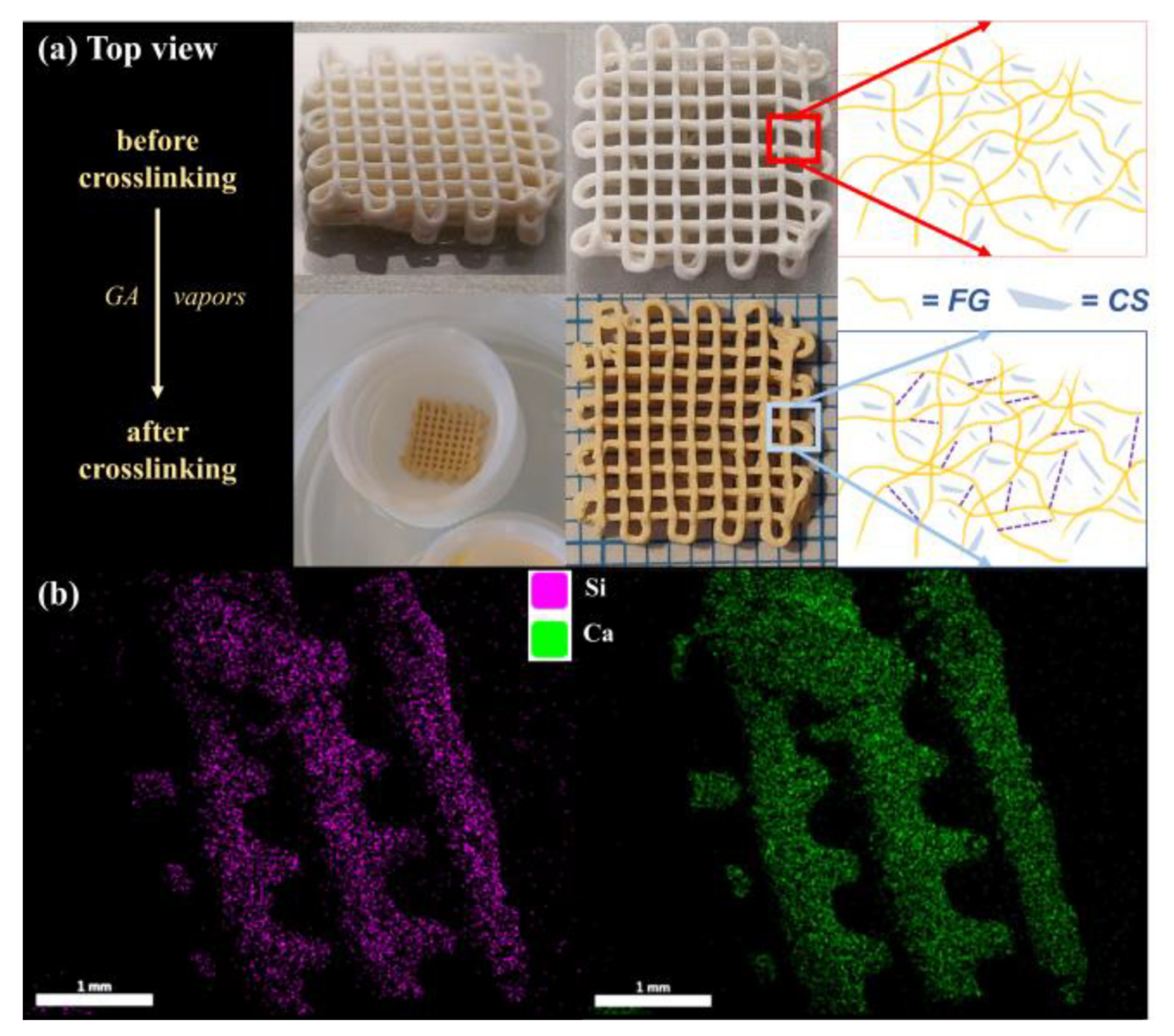 Polymers 12 02420 g003