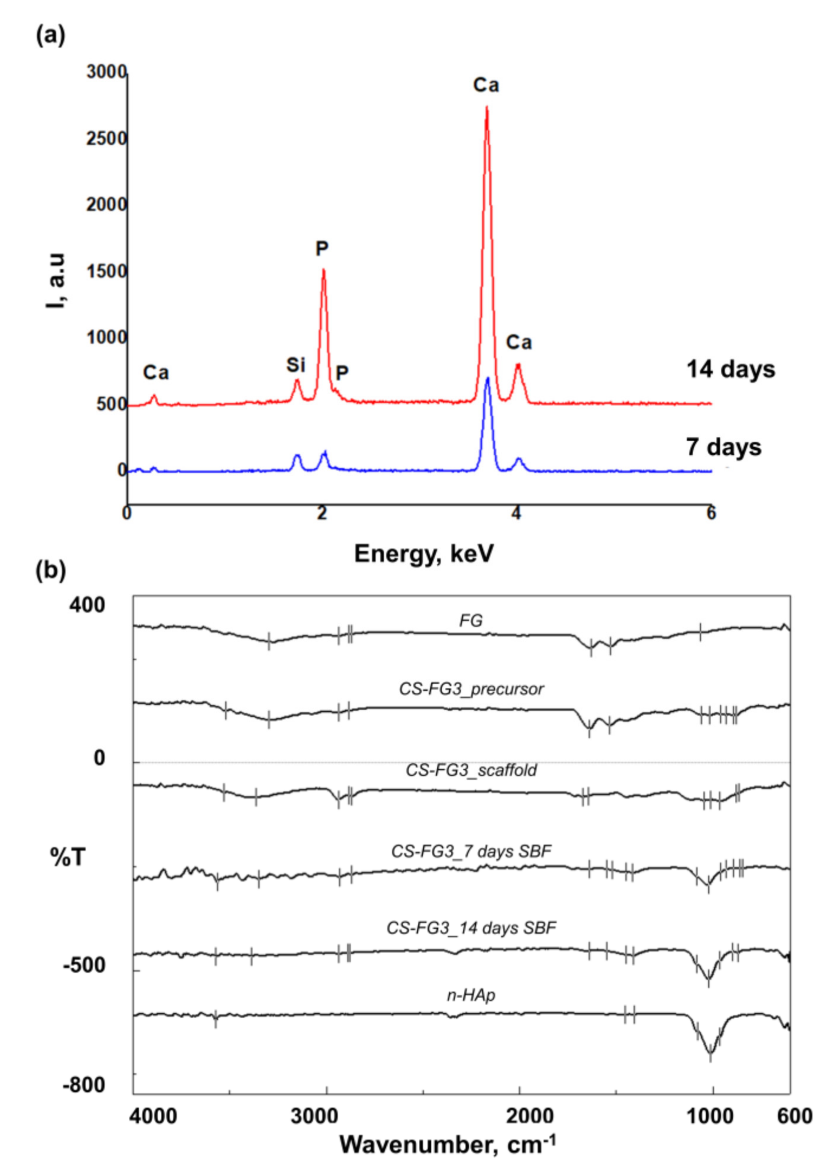 Polymers 12 02420 g005