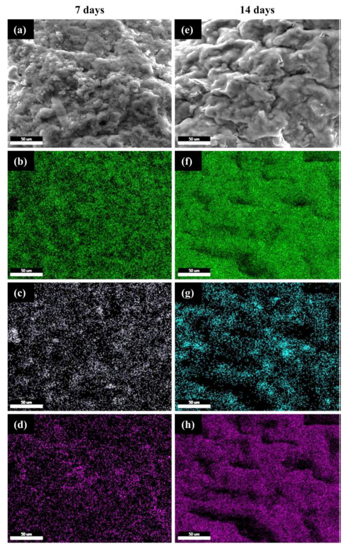 Polymers 12 02420 g006