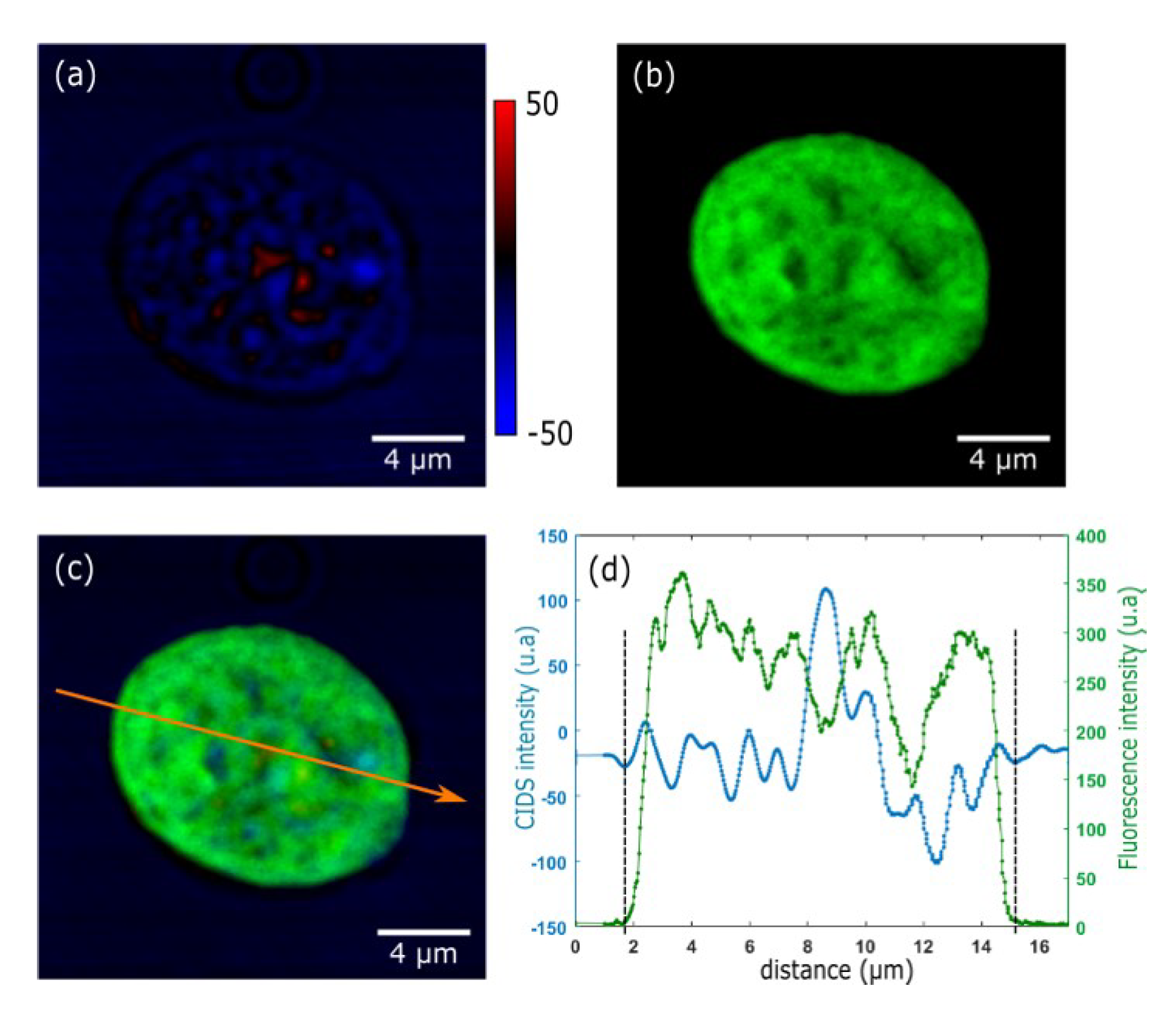 Polymers 12 02428 g006
