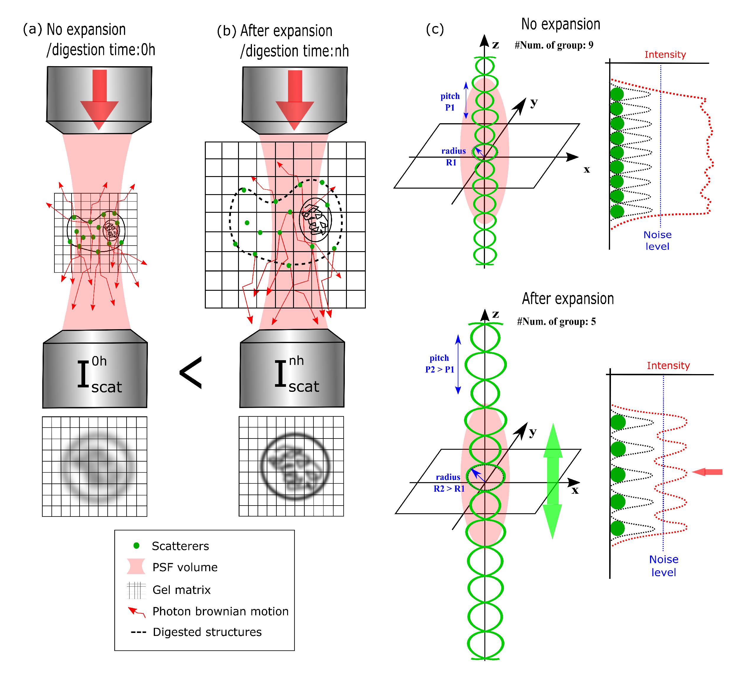 Polymers 12 02428 g007