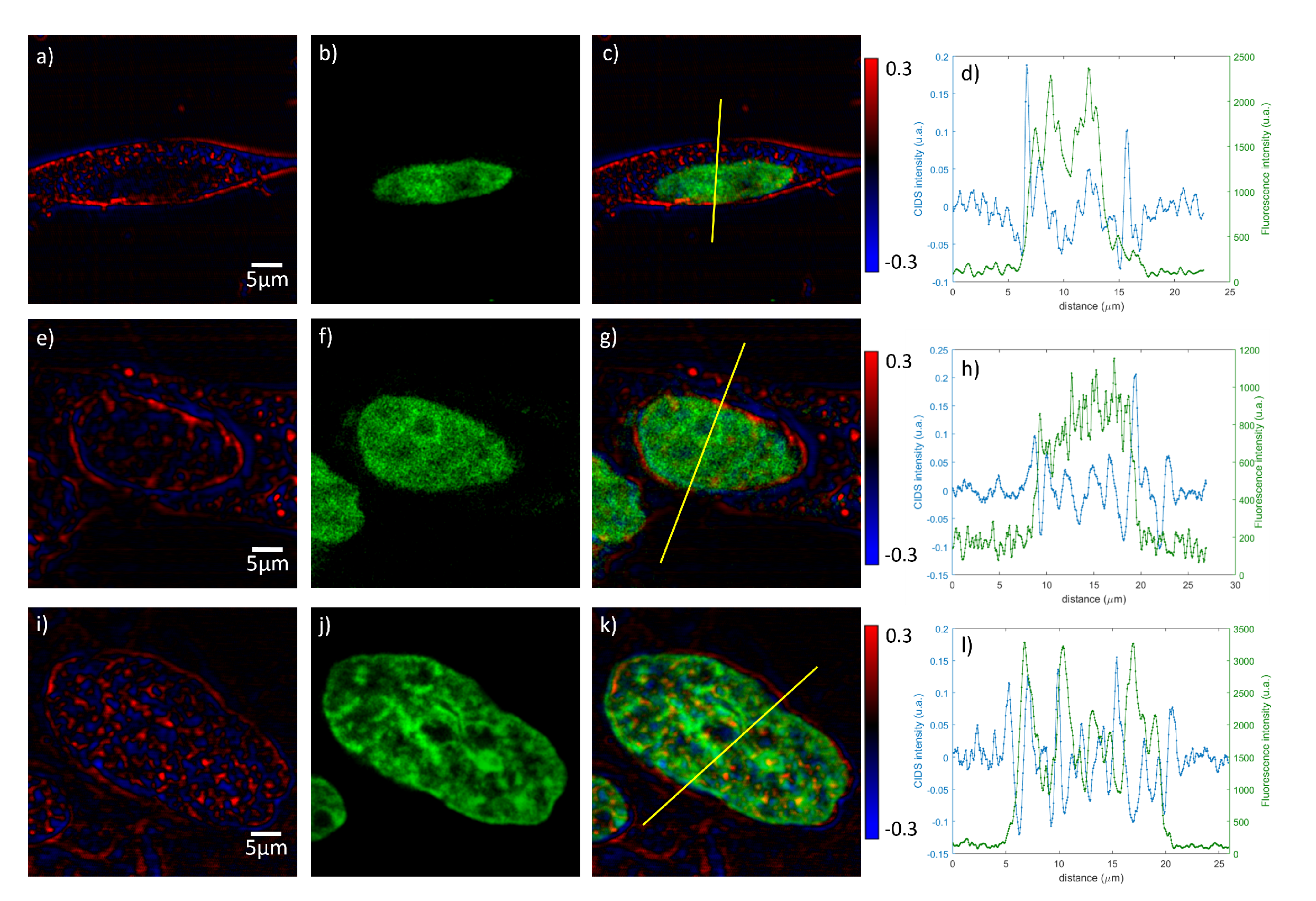 Polymers 12 02428 g008