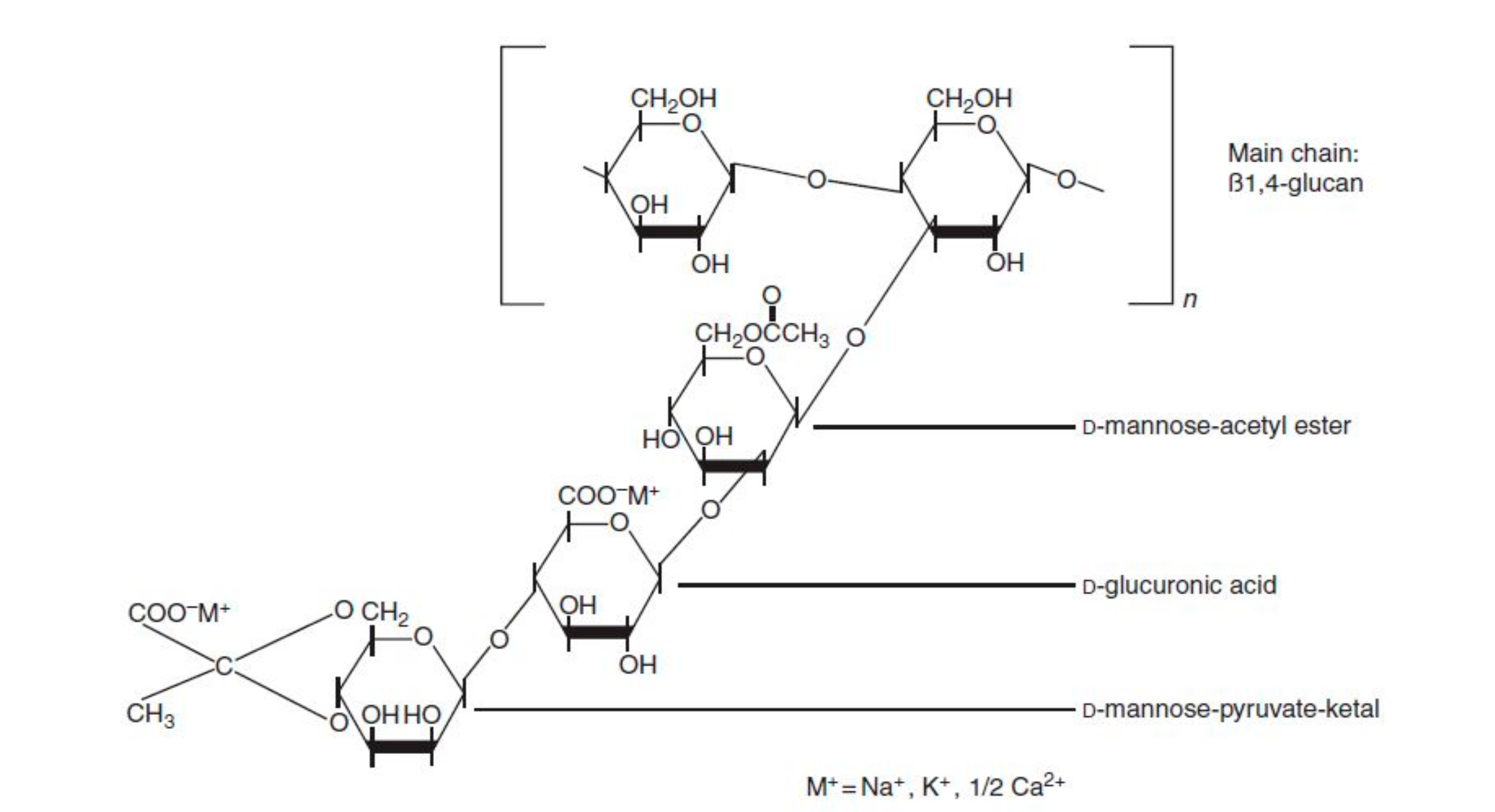 Polymers 12 02429 g003