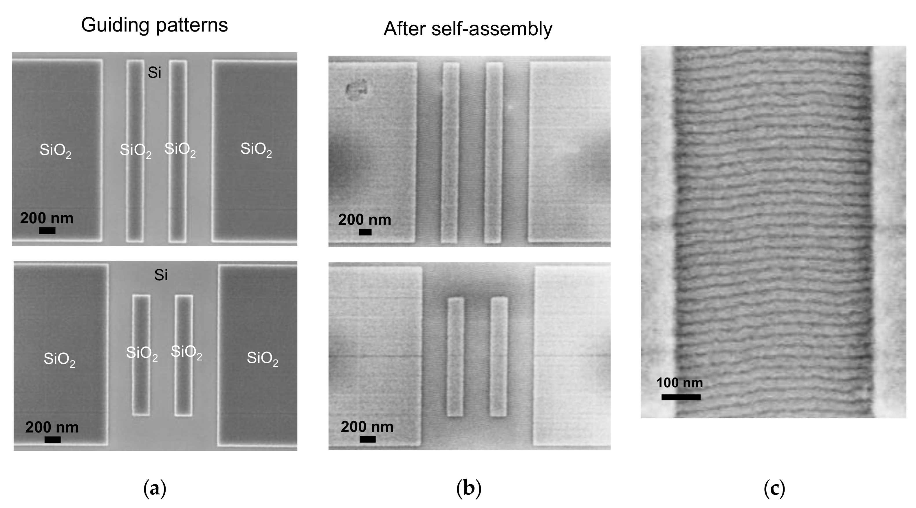 Polymers 12 02432 g004