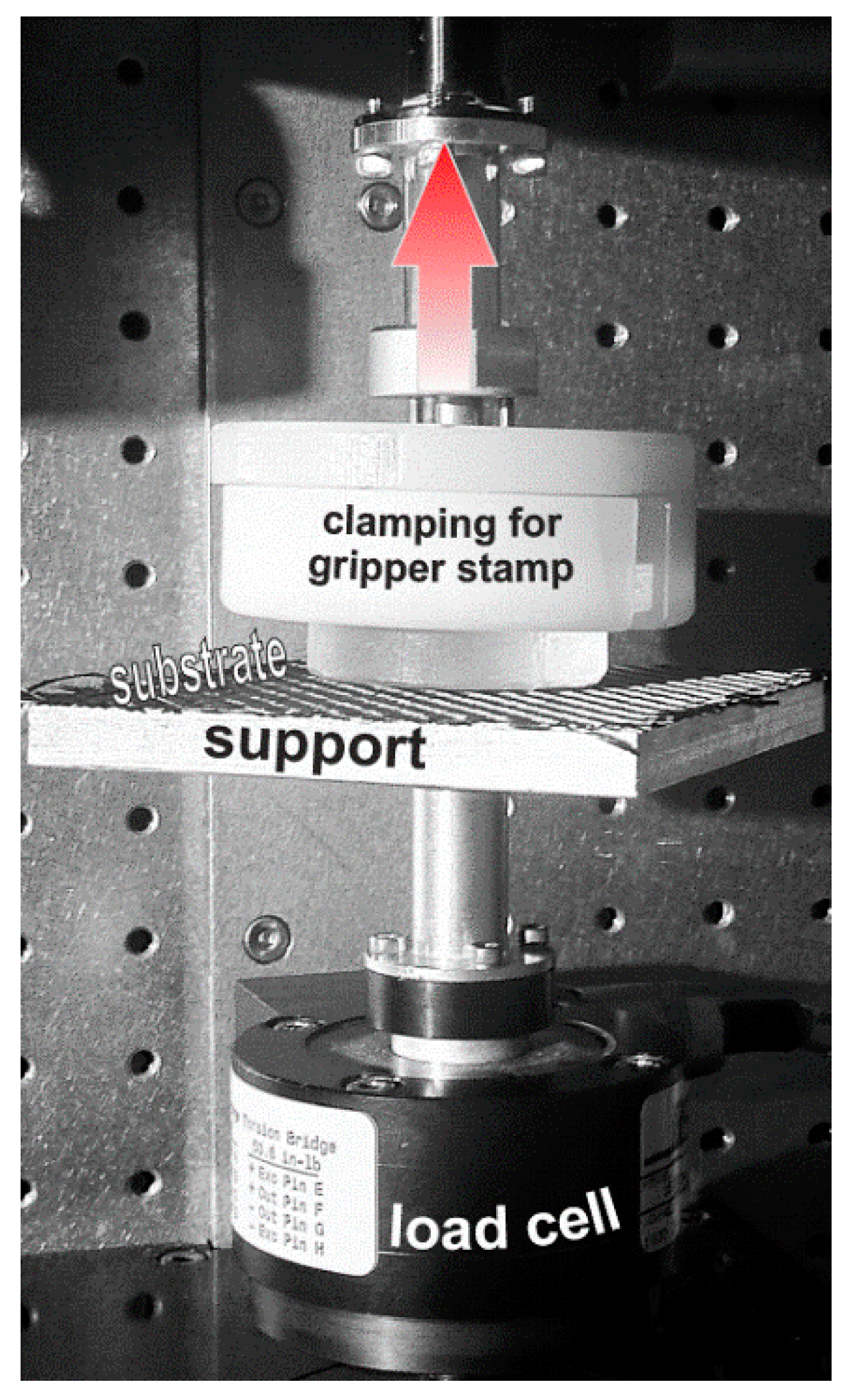 Polymers Free Full Text Adherence Kinetics Of A Pdms Gripper With Inherent Surface Tackiness Html